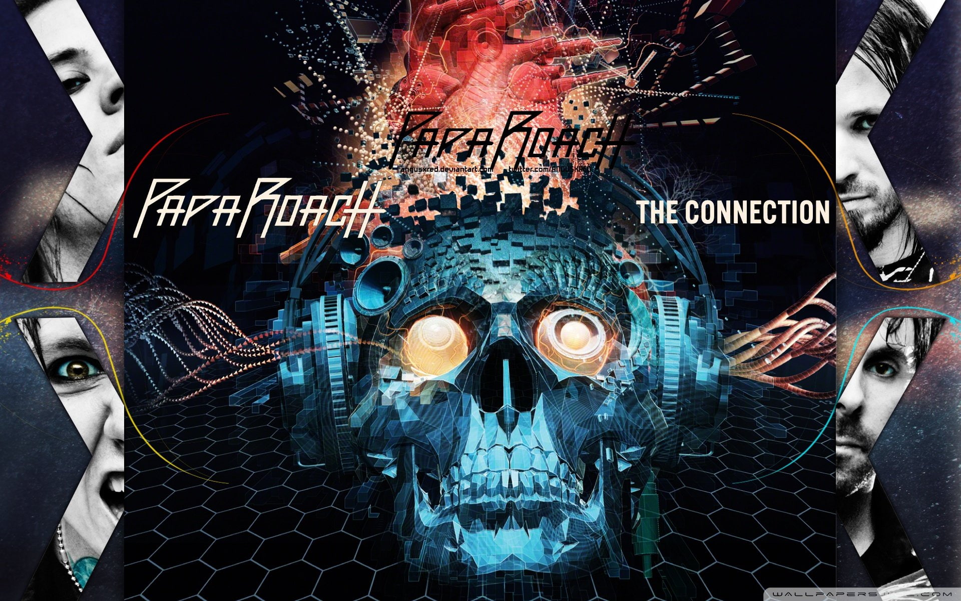 connection 1920x1200, 1080P, roach, papa, HD Wallpaper