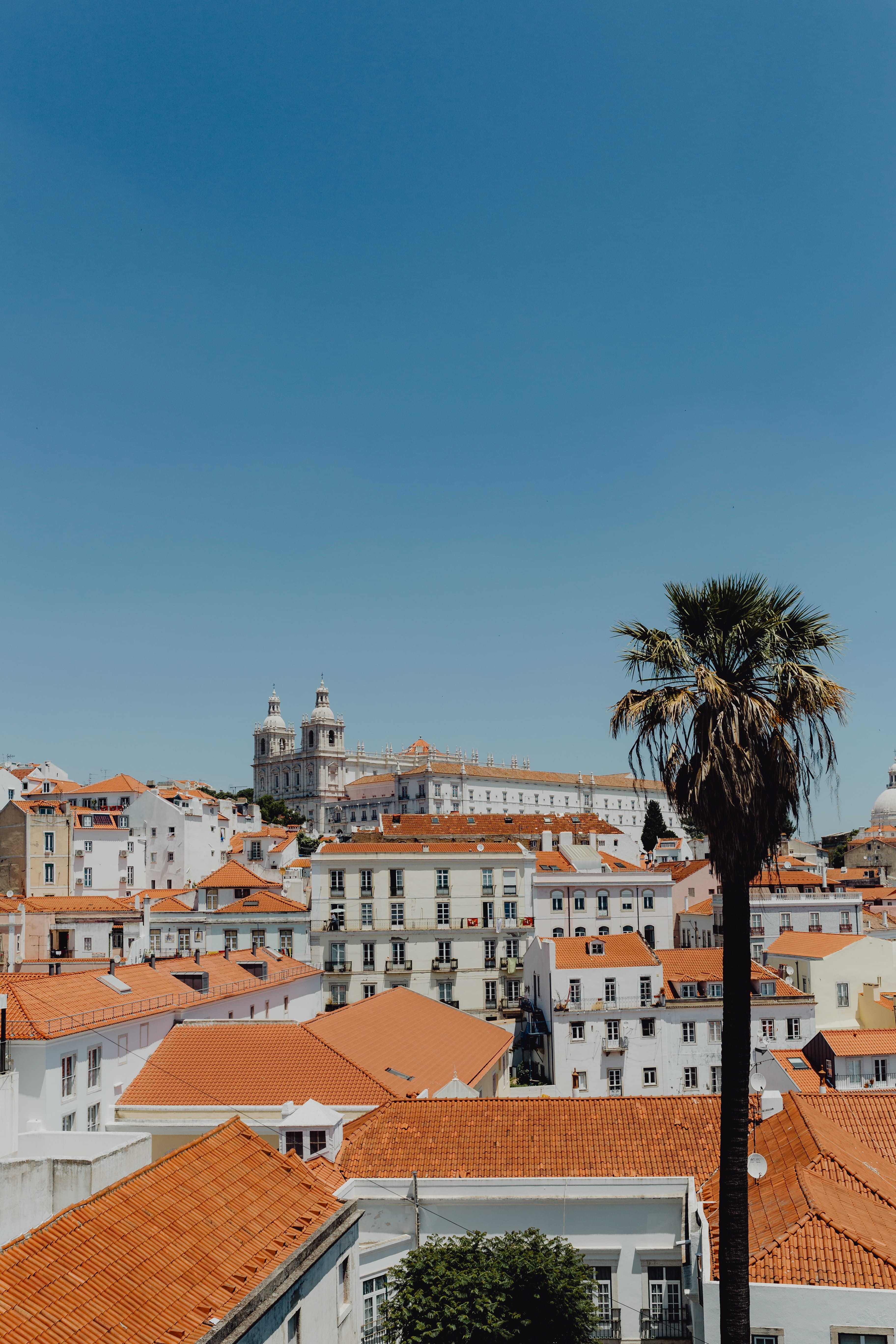 residential district, day, buildings, lisbon, blue, copy space, old town, tropical climate, clear sky, tree, urban, building exterior, portugal, town, building, Phone HD Wallpaper