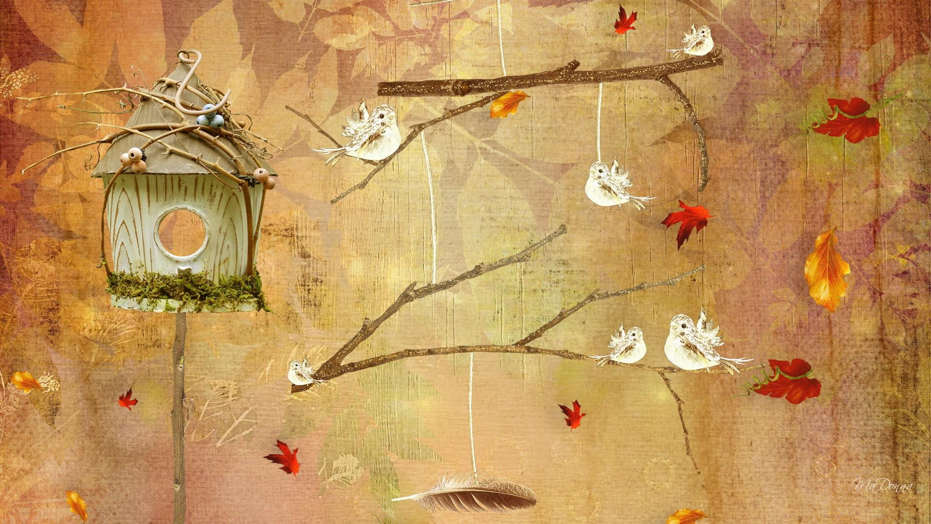 animals, twigs, bird house, wind, autumn, firefox persona, leavs, 1080P, fly, fall, birds, leaves, HD Wallpaper