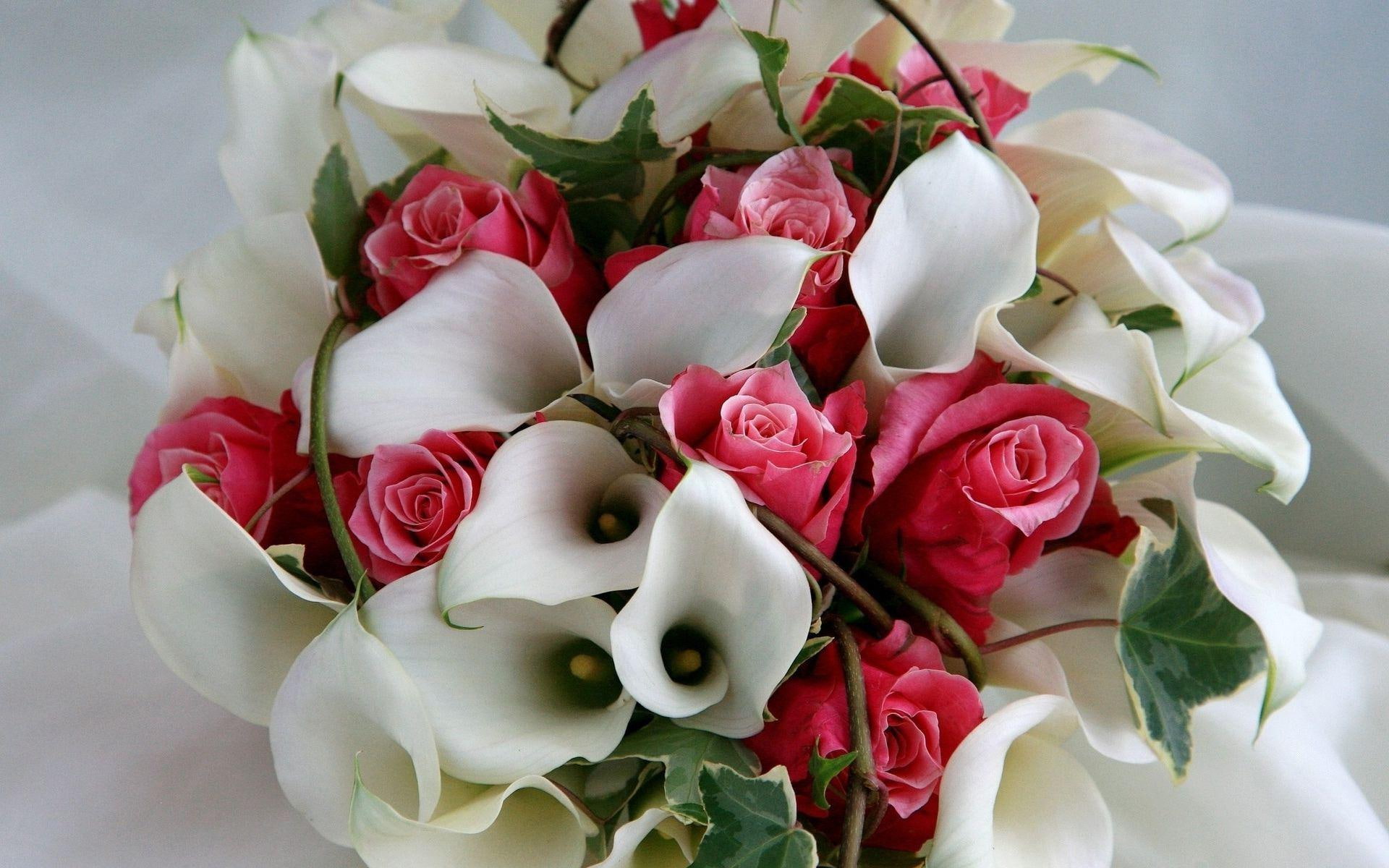 1920x1200, bouquet, roses, pink, flowers, rose, calla, lilly, 1080P, white, callas, HD Wallpaper