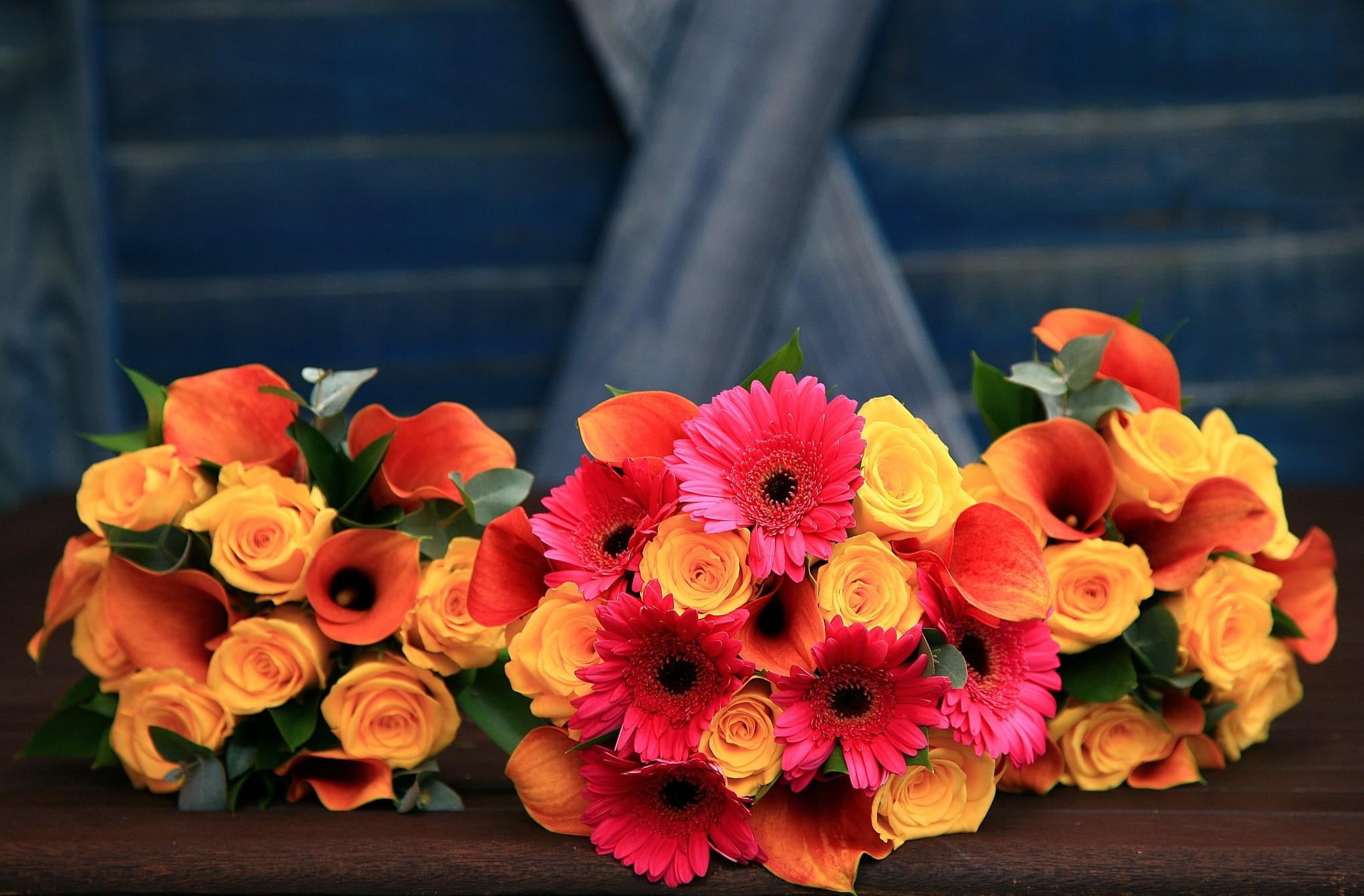 day, vase, plant, flower arrangement, flowering plant, roses, rose - Flower, no People, 1080P, freshness, backgrounds, nature, beauty In Nature, decoration, HD Wallpaper