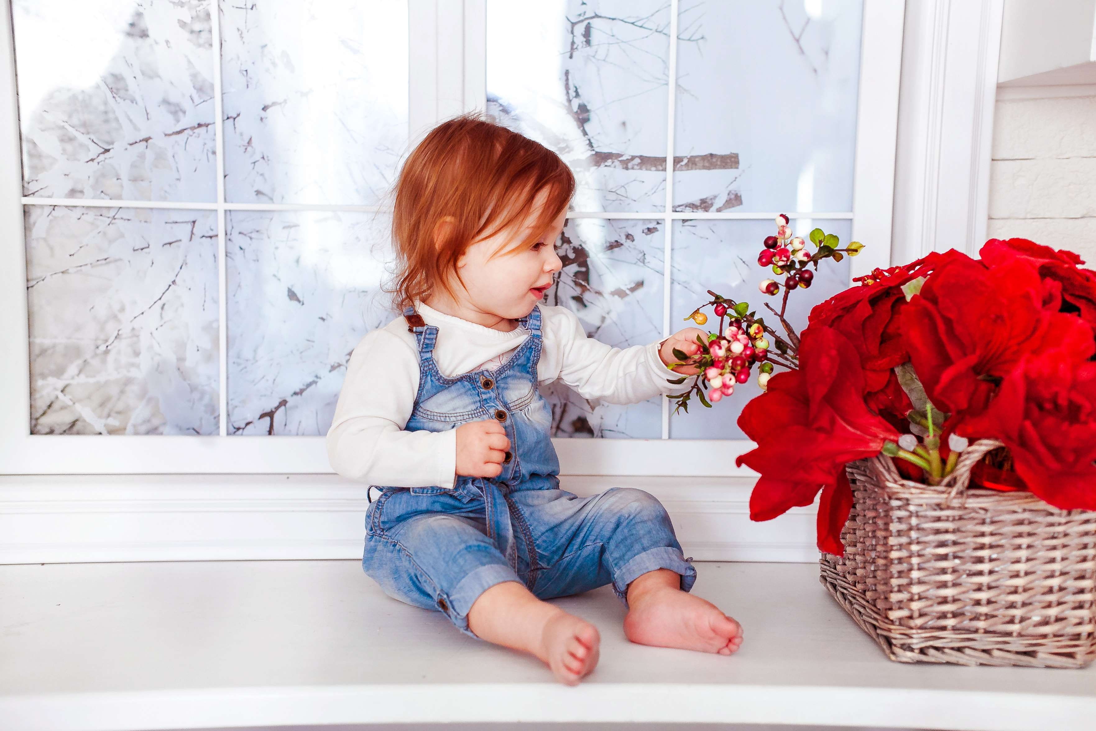 portrait, beautiful, lifestyles, person, window, kid, red, baby, flower head, real people, flowers, cute, joy, room, innocence, little, 2K, one person, HD Wallpaper