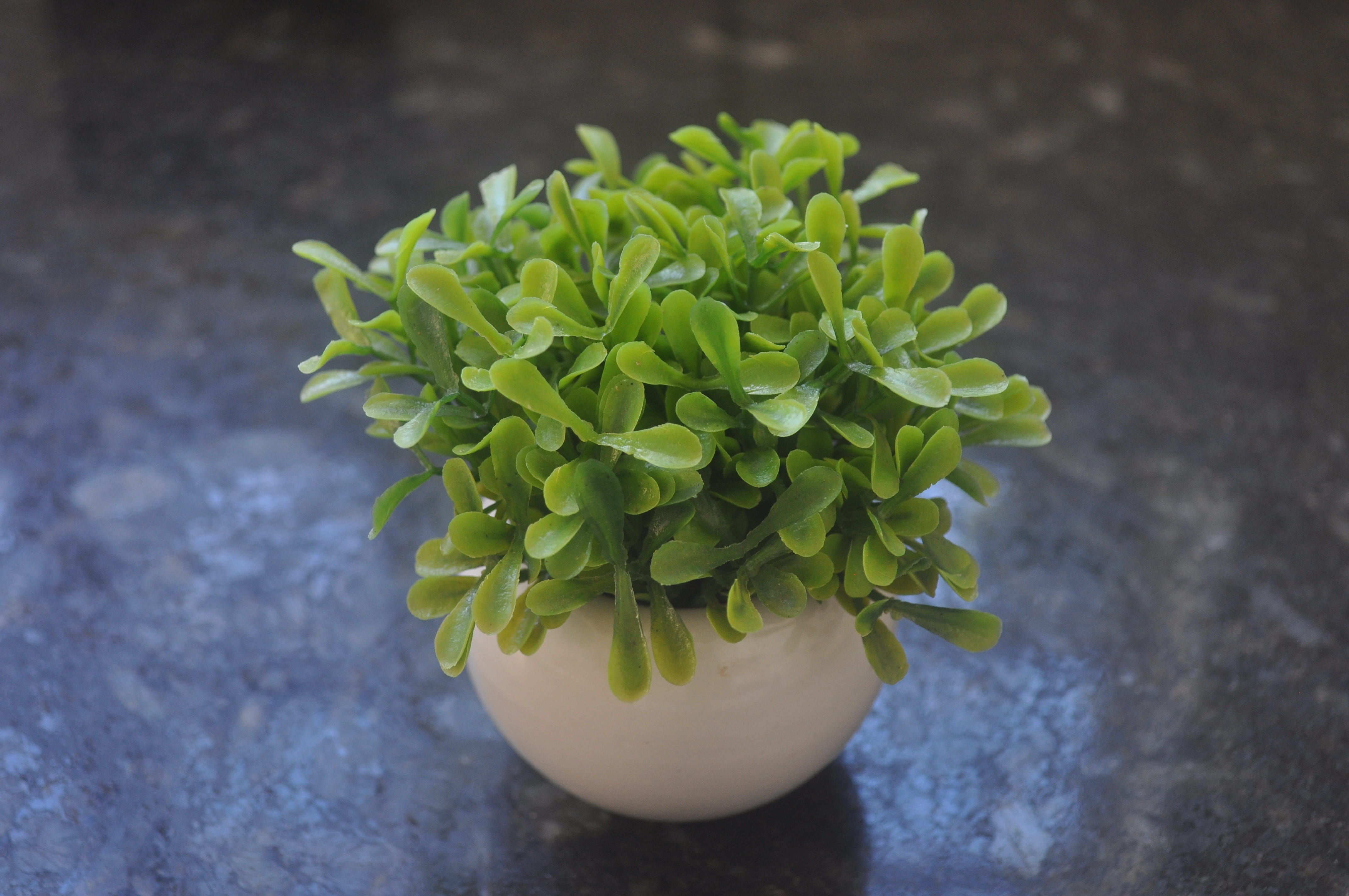 potted plant, food, freshness, healthy eating, vegetable, plant part, plant, plant buchinha artificial, no people, leaf, nature, beauty in nature, green color, HD Wallpaper