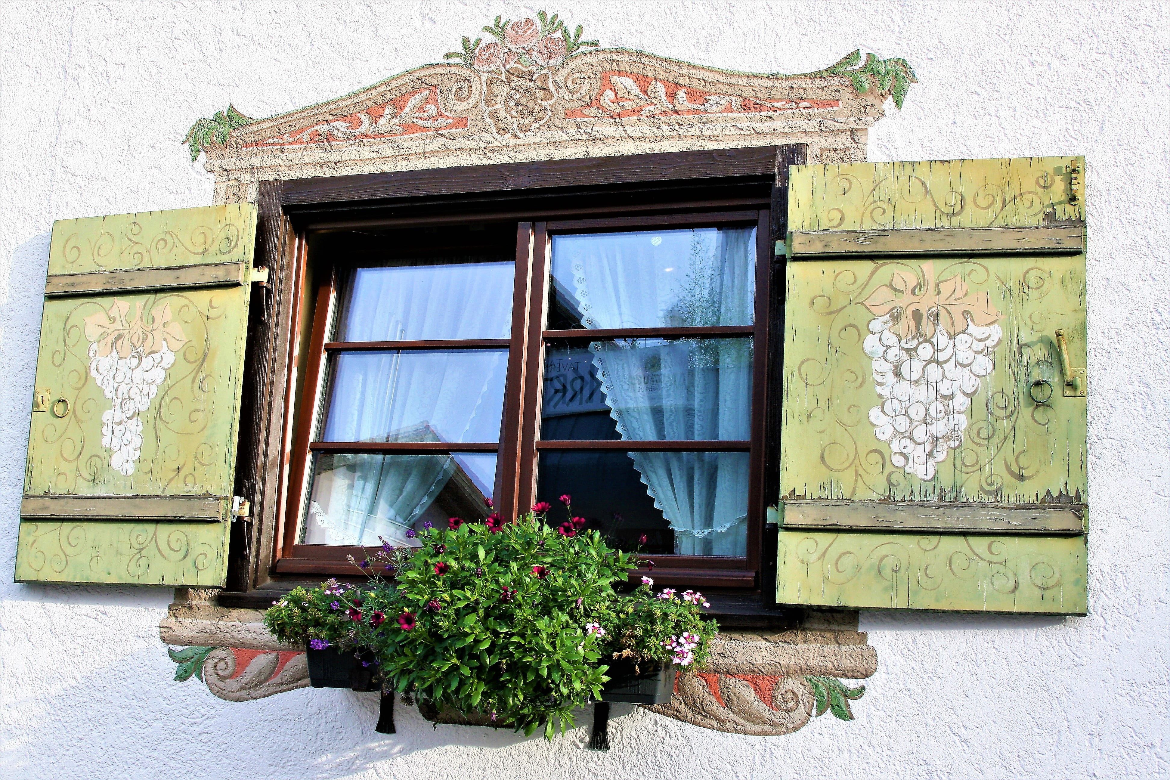 plant, building exterior, painted, ancient, shutters, architecture, 4K, wall - building feature, built structure, outdoors, flowering plant, growth, art and craft, HD Wallpaper