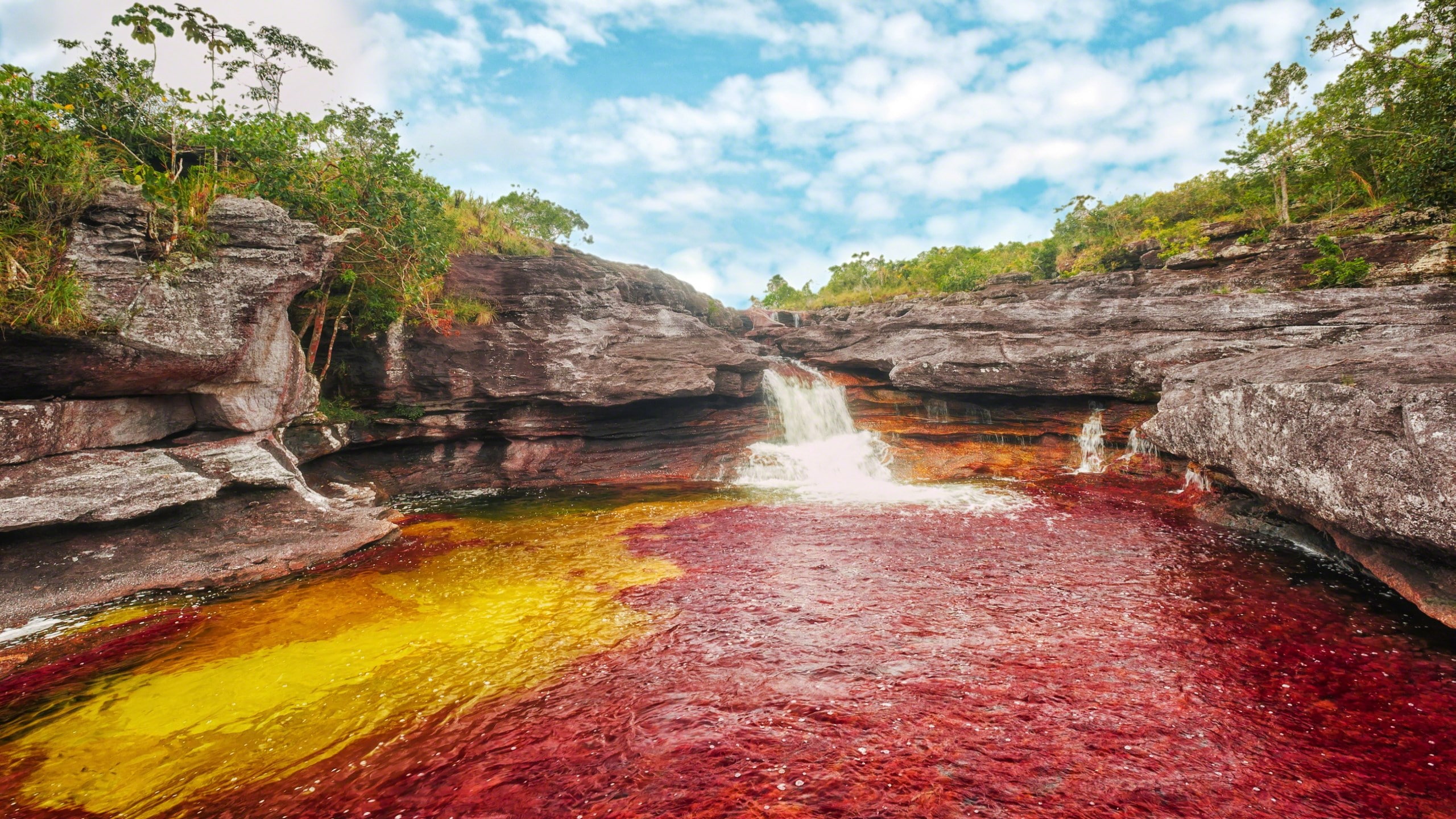 cano cristales, 2K, HD Wallpaper