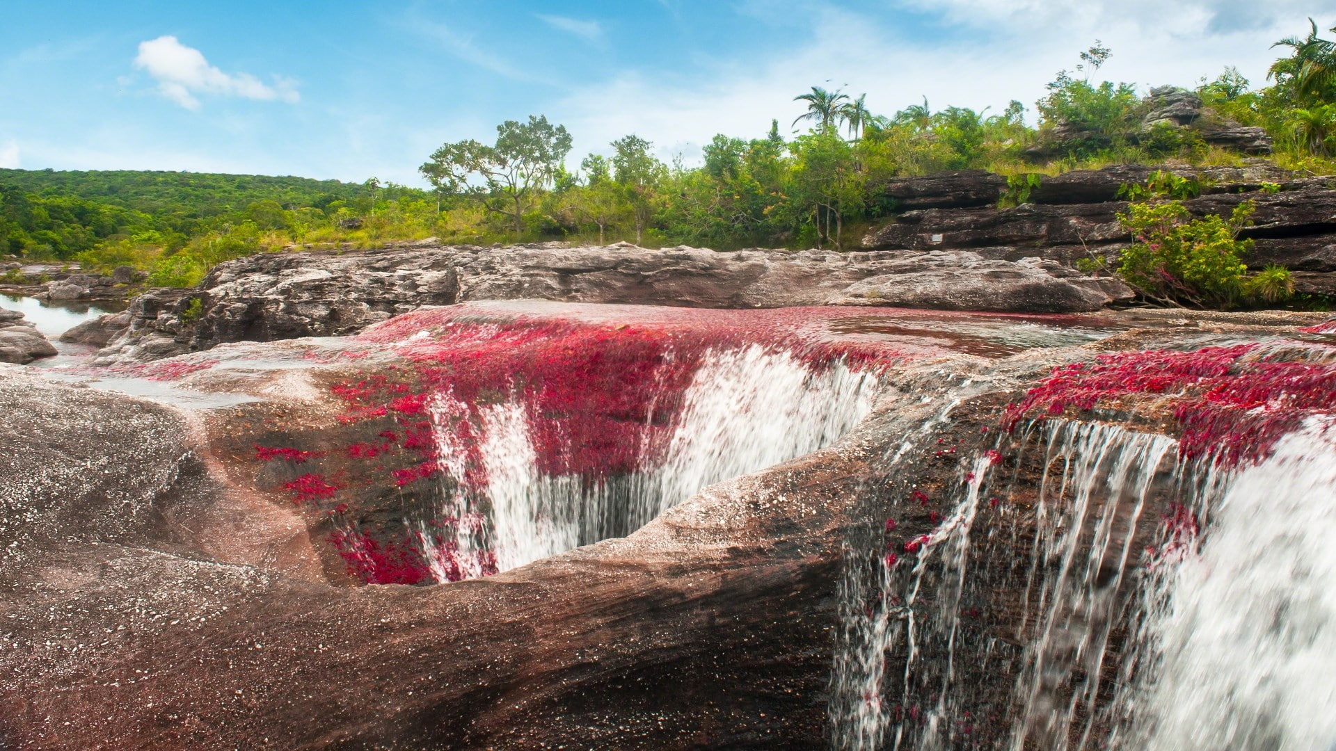 1080P, cano cristales, HD Wallpaper