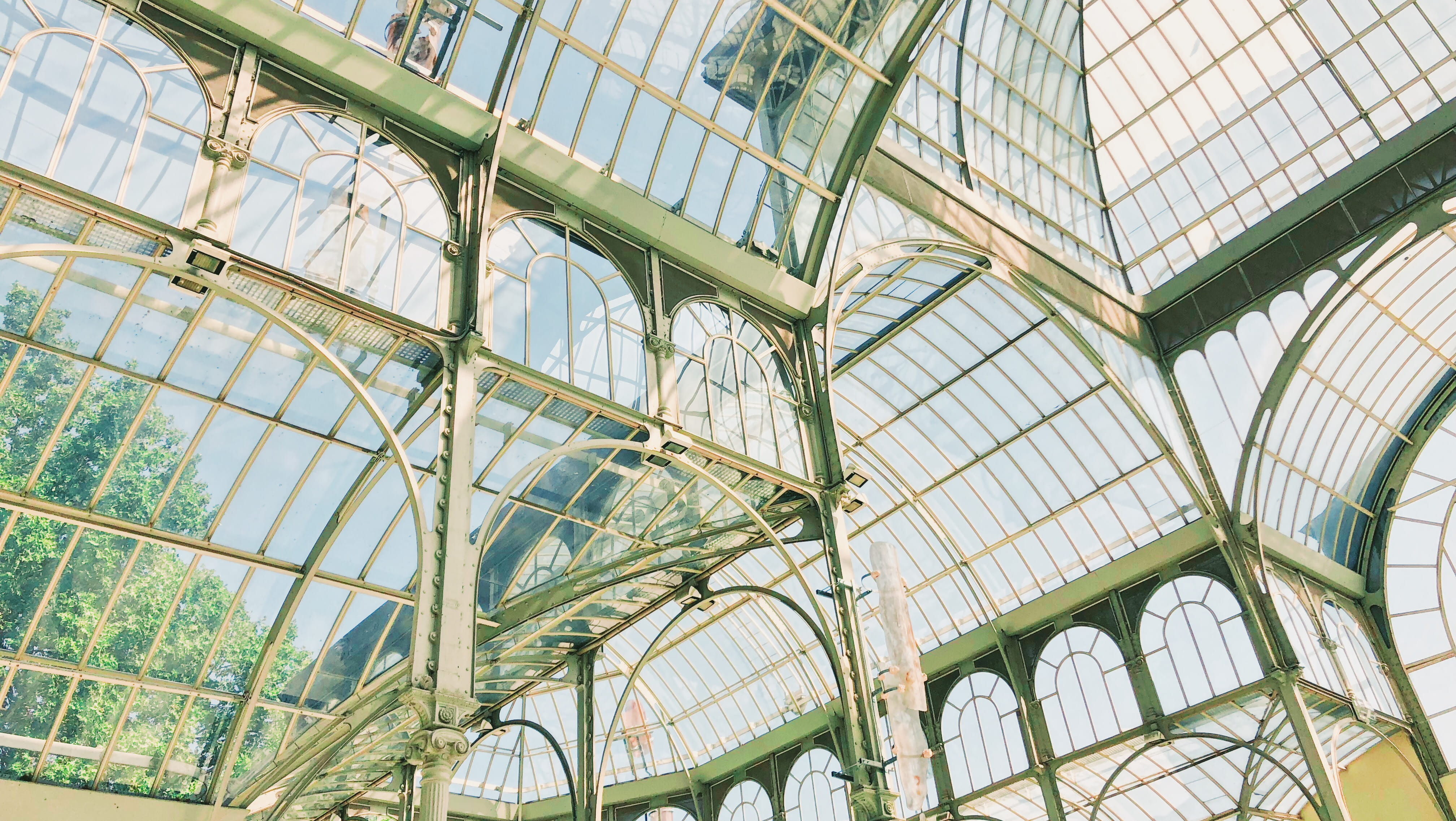 green, big, no people, low angle view, sunlight, nature, indoors, full frame, glass, building, arch, ceiling, glass - material, modern, day, mess, design, HD Wallpaper