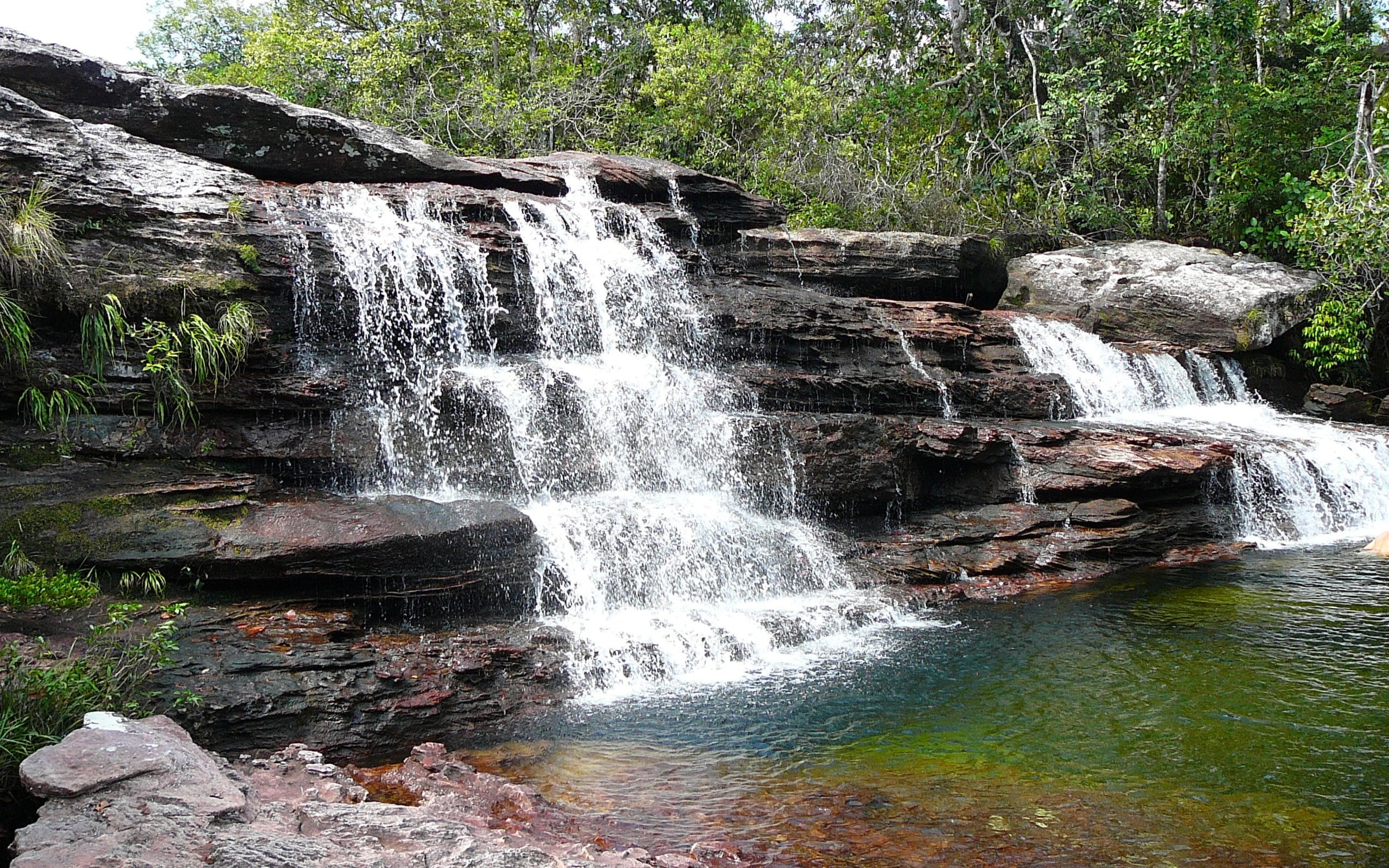 2K, cano cristales, HD Wallpaper