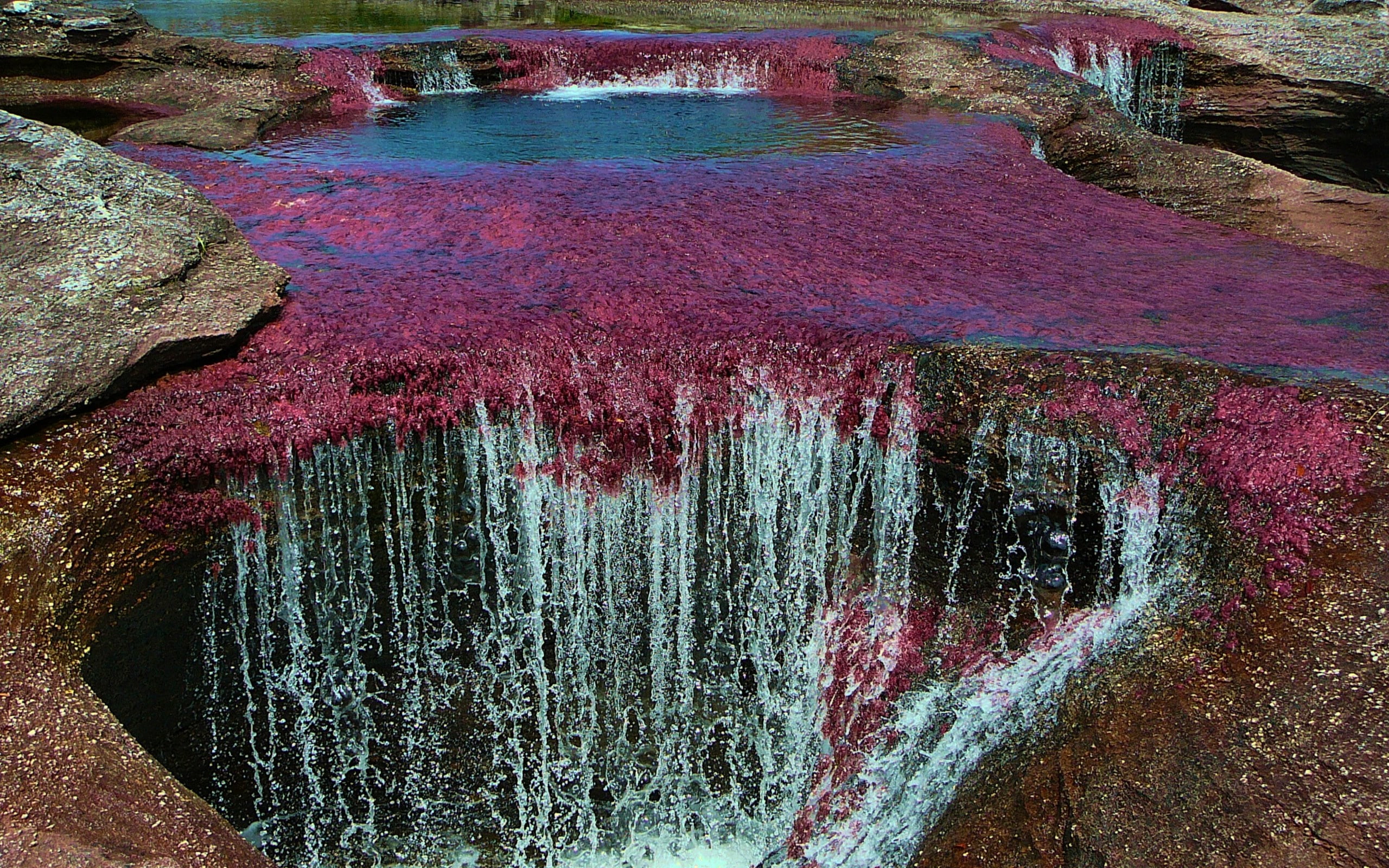 nature, 2K, multi colored, tranquil scene, high angle view, land, reflection, cano cristales, water, tranquility, pollution, outdoors, beauty in nature, HD Wallpaper