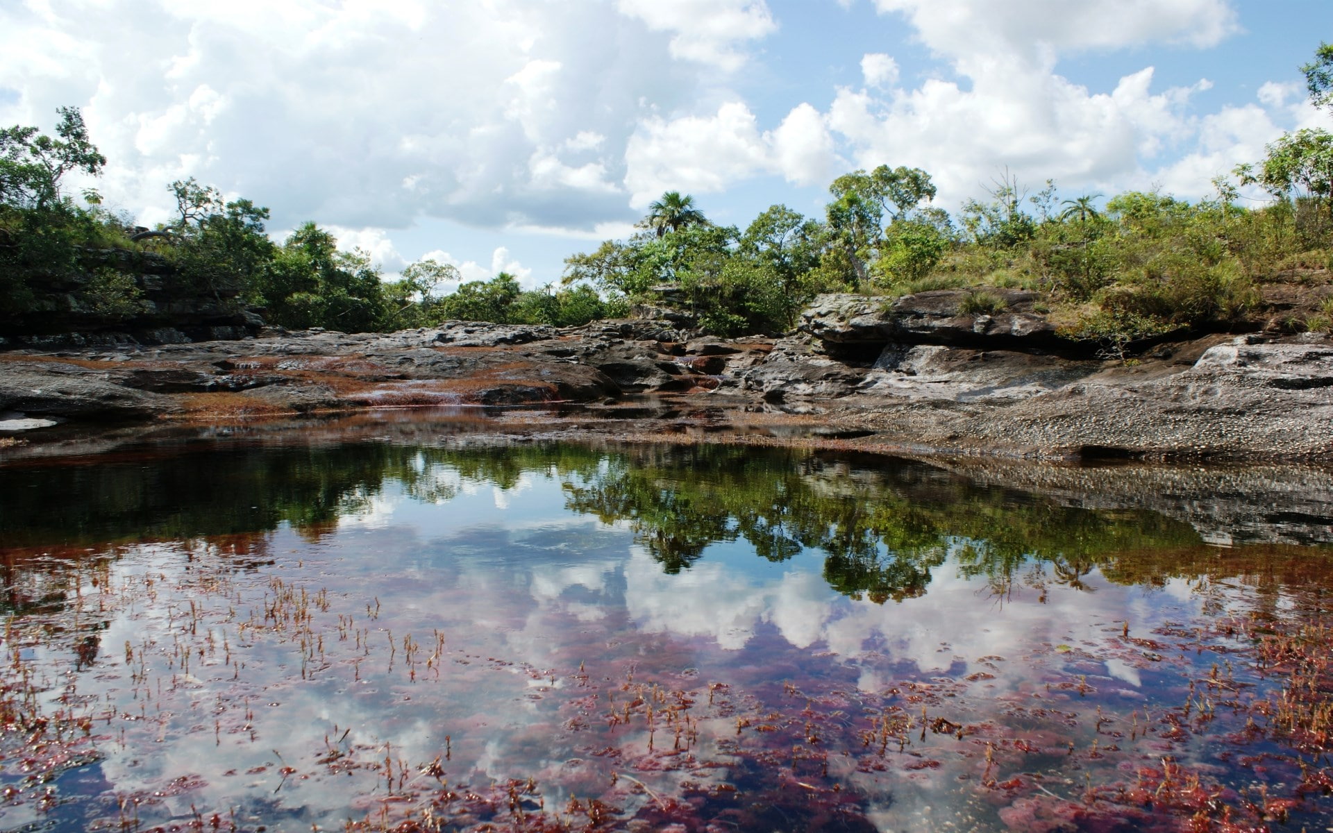 non-urban scene, growth, water, beauty in nature, 1080P, day, tree, lake, eroded, reflection, sky, cano cristales, plant, outdoors, nature, idyllic, scenics - nature, HD Wallpaper