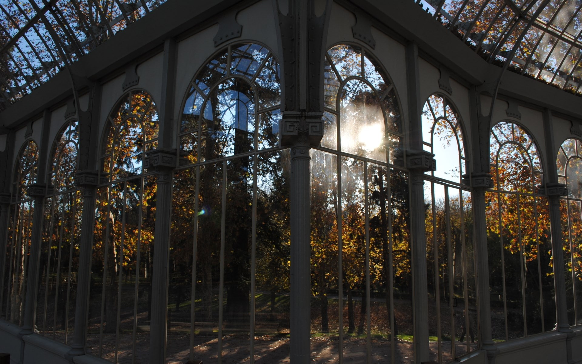 sunlight, metal, window, plant, no people, nature, palacio de cristal, indoors, building, 1080P, day, place of worship, glass, the past, tree, belief, HD Wallpaper