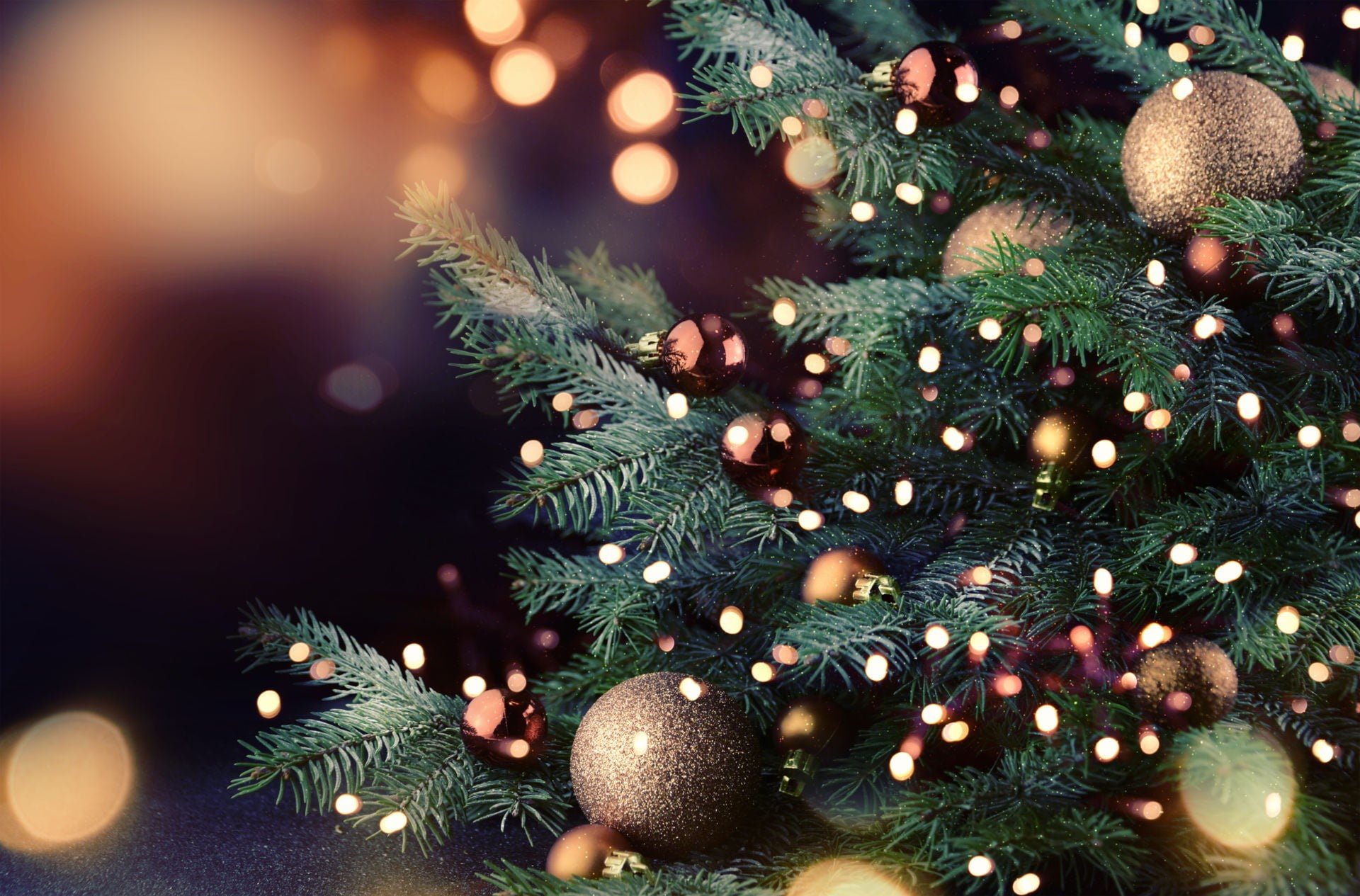 branch, green Color, nature, no People, lighting Equipment, defocused, gift, 1080P, indoors, night, christmas lights, red, New year, winter, fir Tree, HD Wallpaper