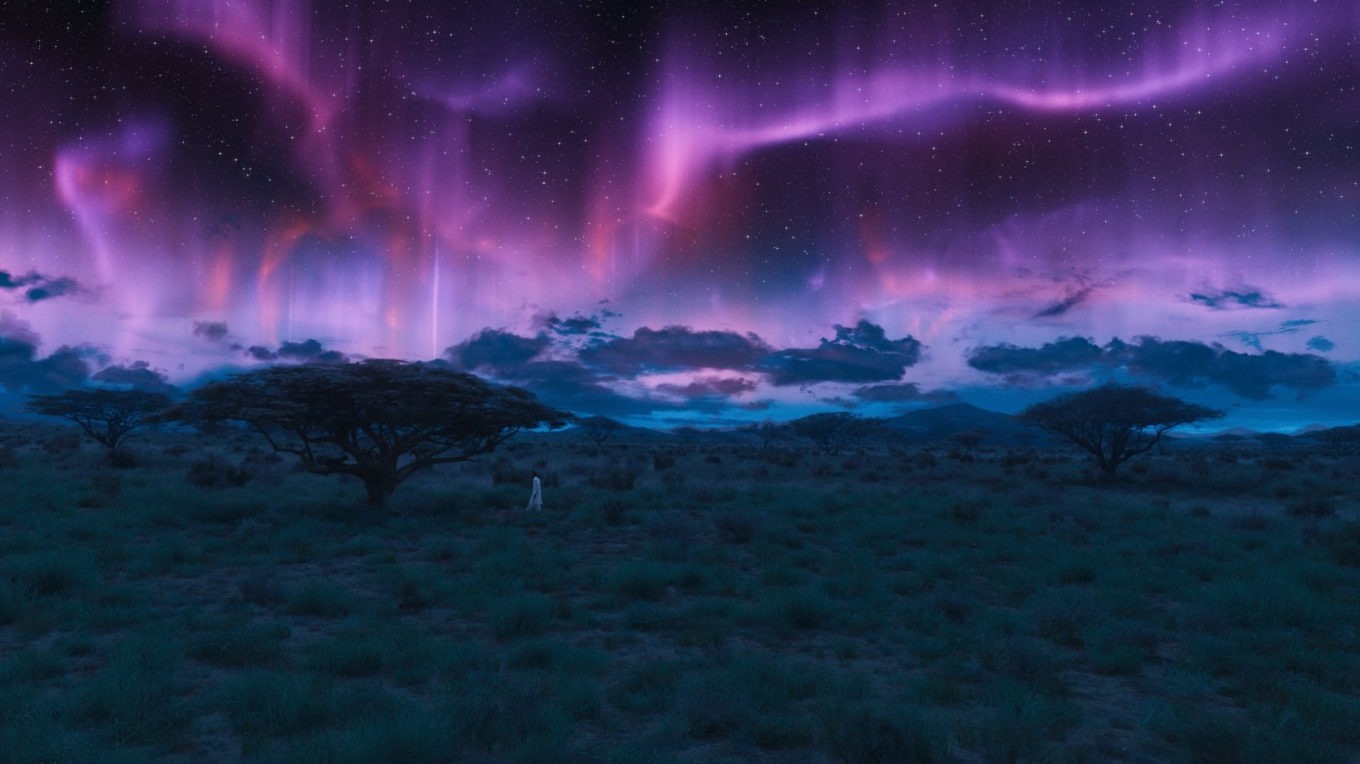 1080P, Movie, Black Panther, HD Wallpaper