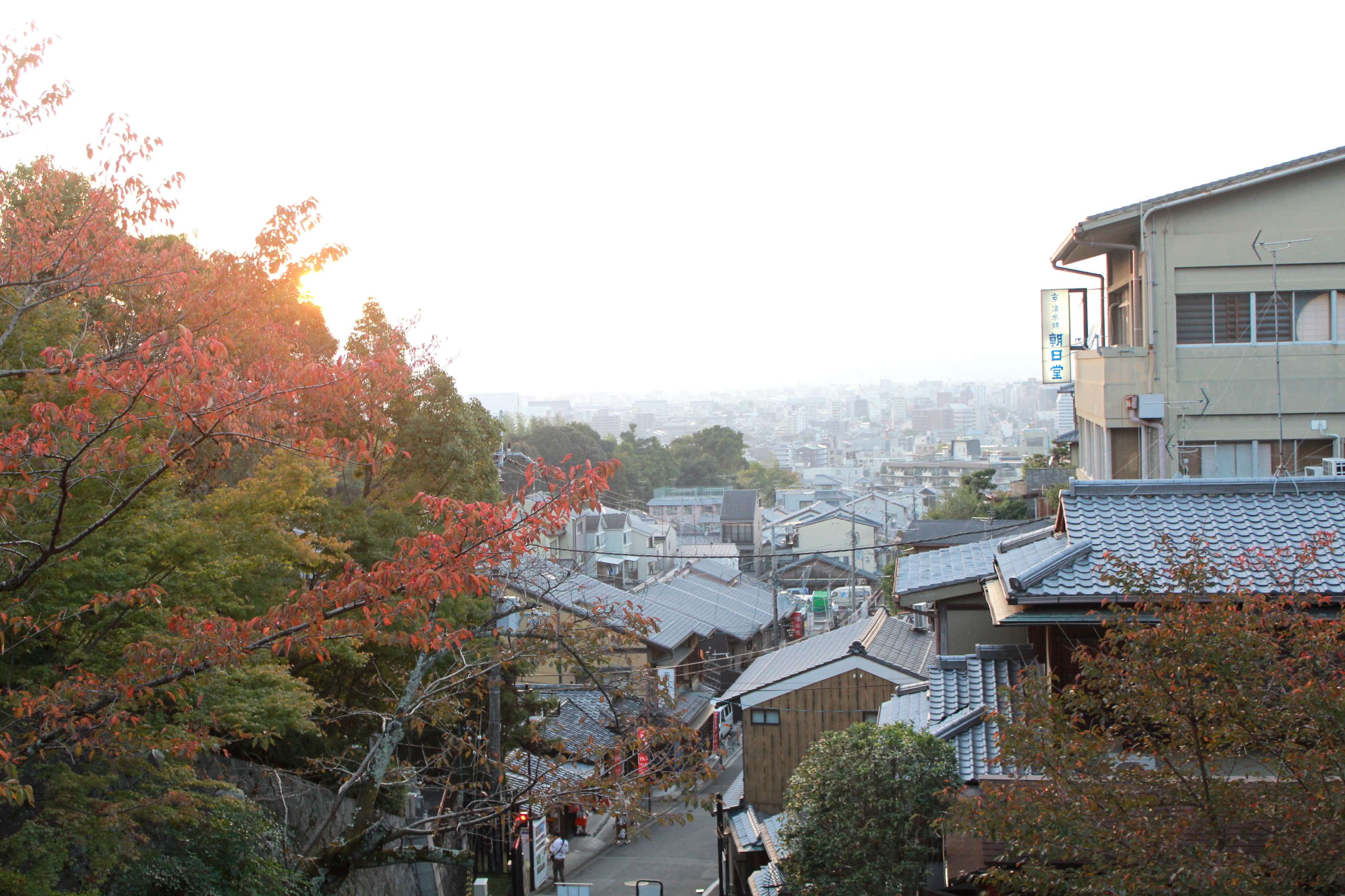 sky, japan, kyoto, clear sky, building, nature, japanese culture, copy space, high angle view, roof, residential district, autumn, built structure, change, HD Wallpaper