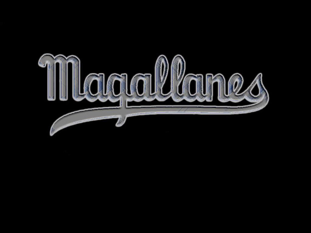 hd, LVBP, deportes, sports, baseball, beisbol, art, magallanes, 480P, HD Wallpaper