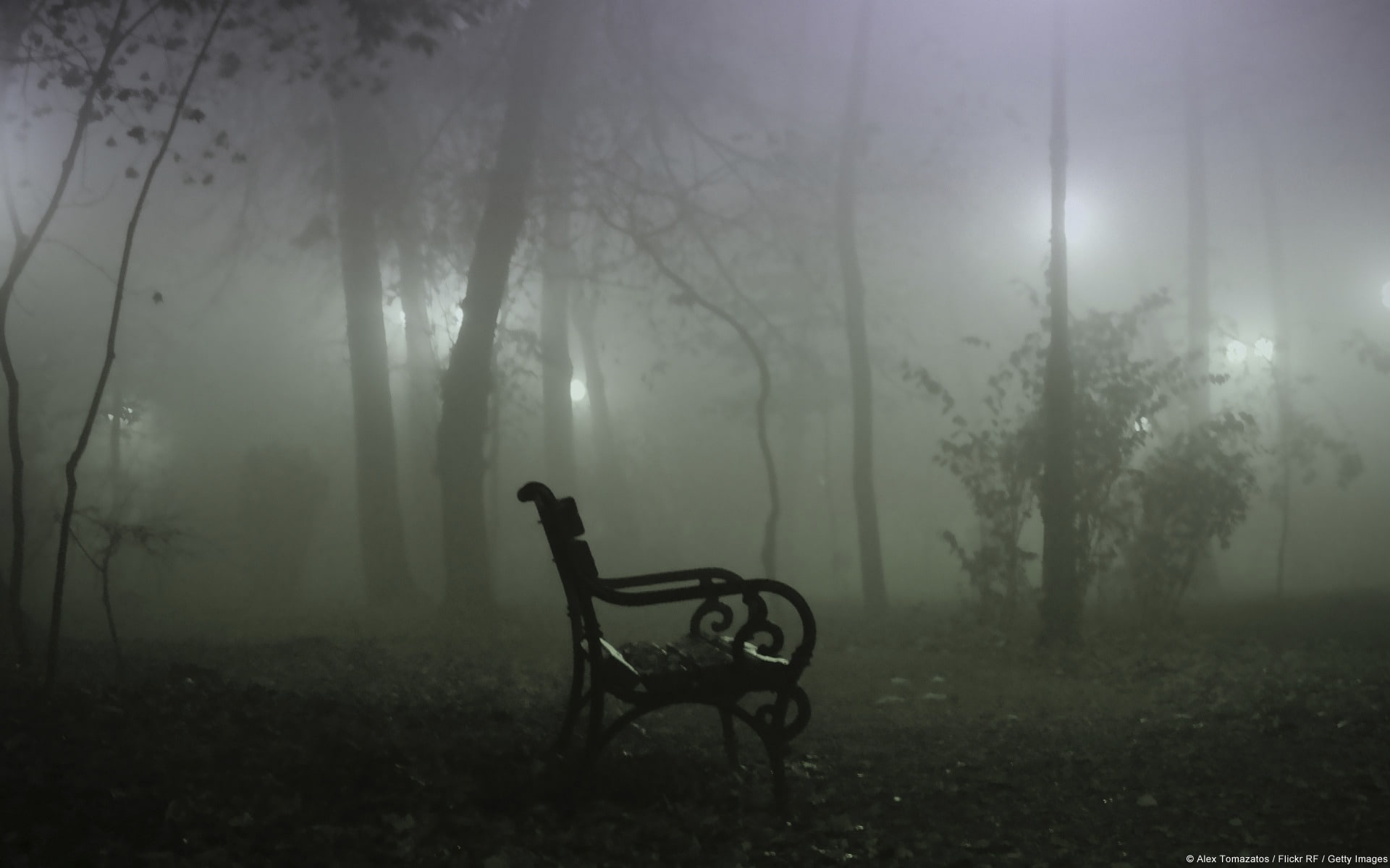 plant, absence, field, hazy, beauty in nature, nature, grass, forest, bench, 1080P, windows, fog, no people, seat, day, tranquil scene, foggy, copou, park, HD Wallpaper