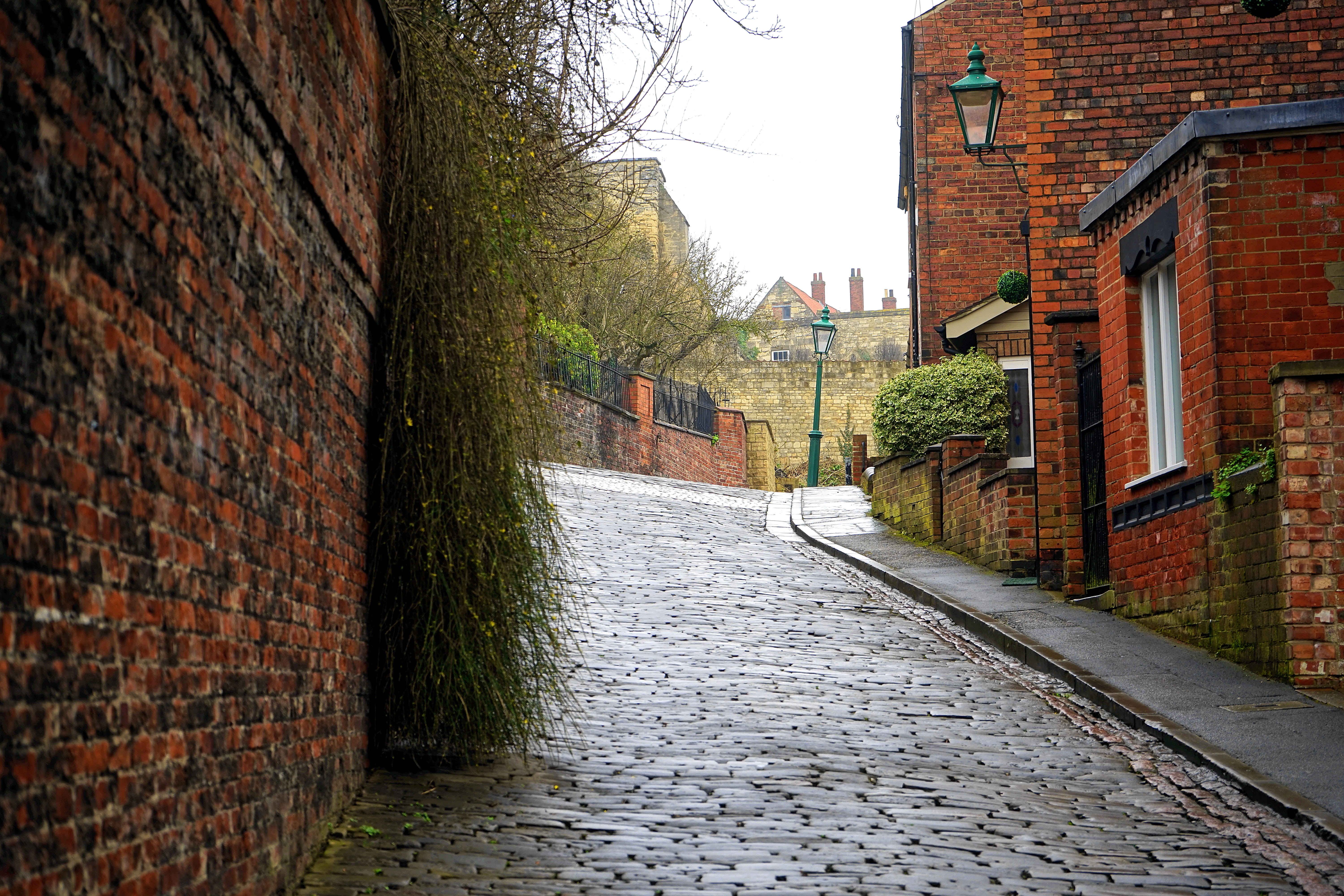 murky, wall, building, outdoors, pathway, cobblestone, tree, built structure, gloomy, highway, pavement, brown, footpath, exterior, urban, direction, town, HD Wallpaper