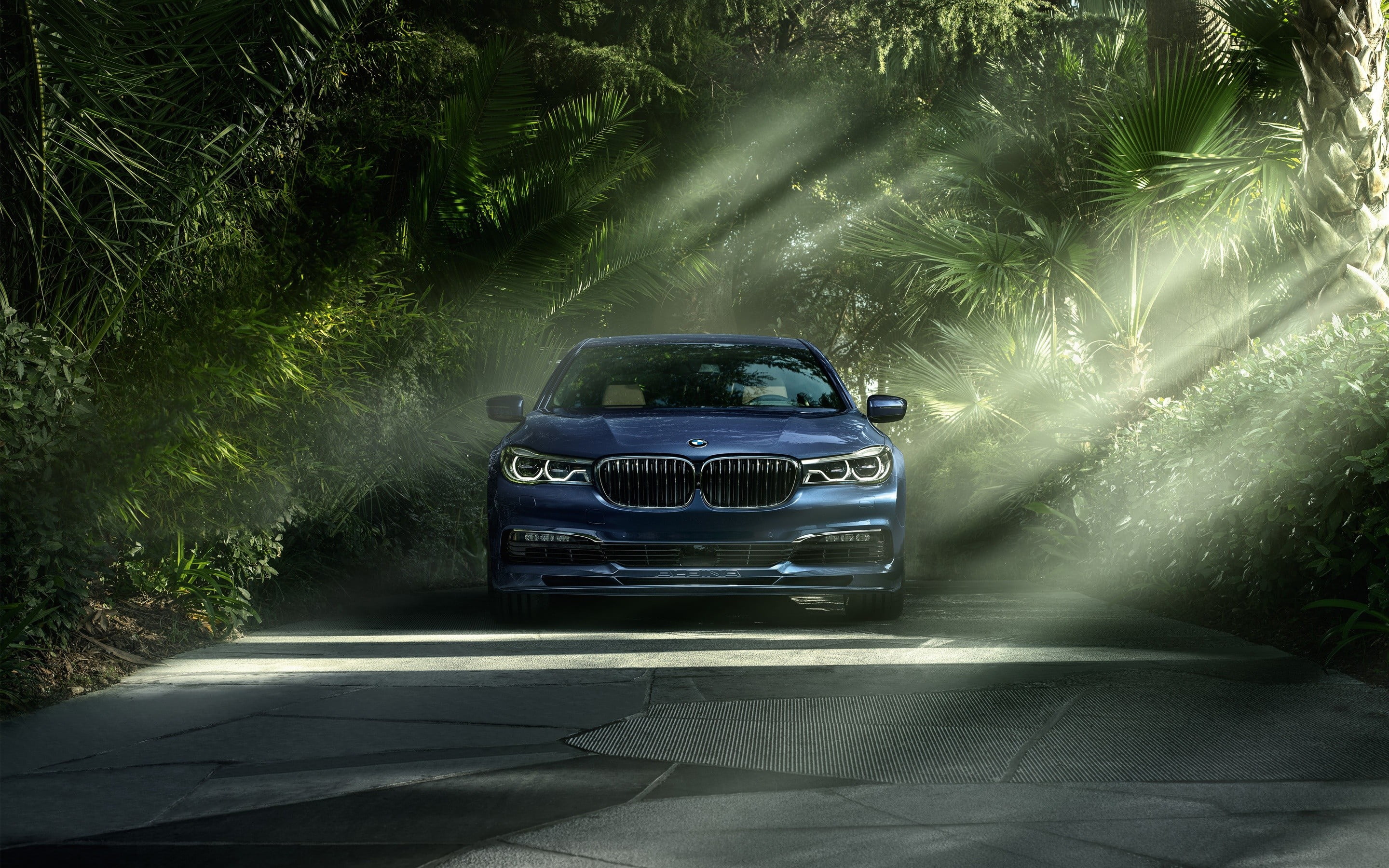 travel, day, BMW, street, transportation, outdoors, nature, direction, blue, plant, dirt, suv, vehicle front, land vehicle, no people, mode of transportation, HD Wallpaper