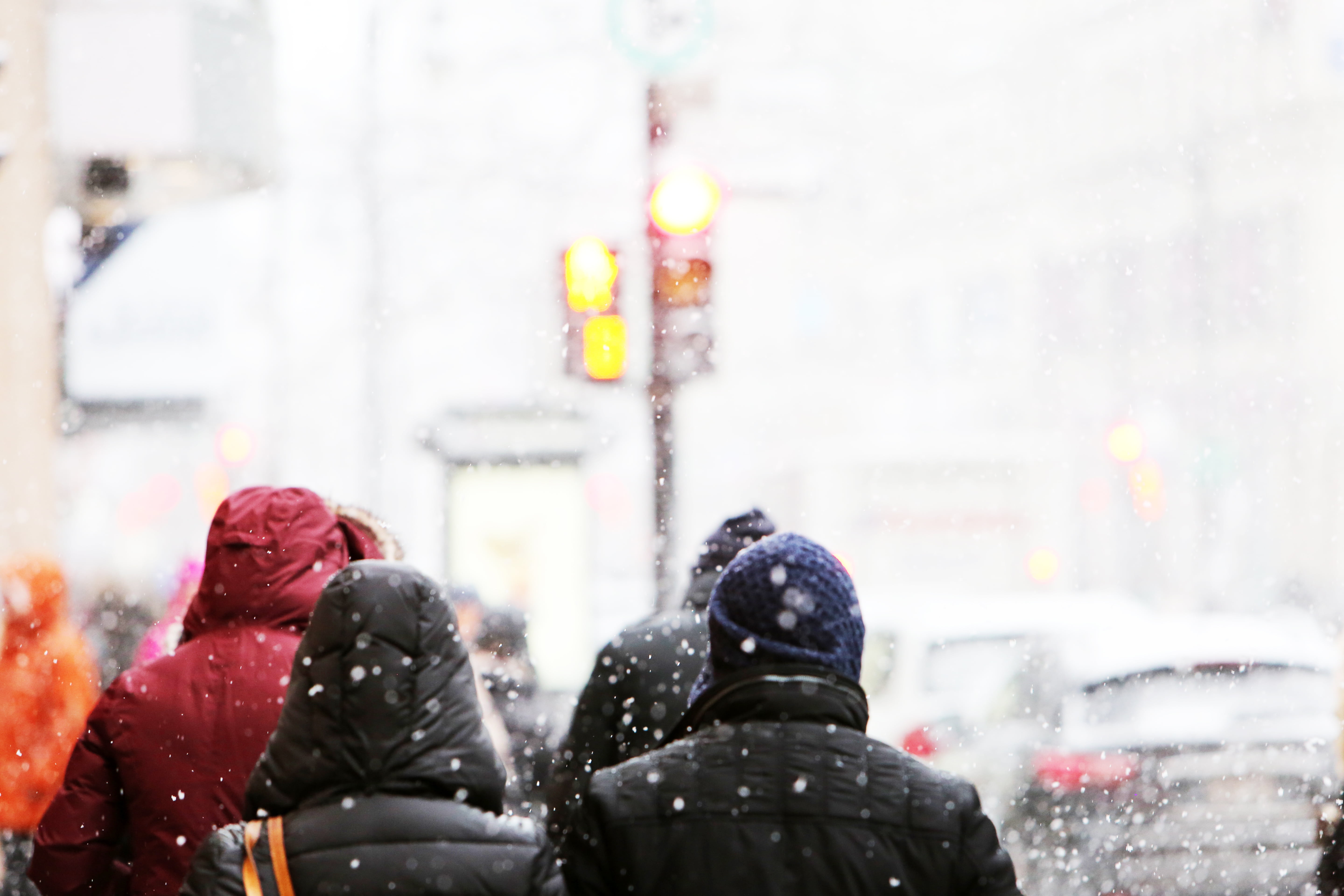 snowing, cold, headshot, architecture, city life, crossing, togetherness, walking, traffic, warm clothing, vehicles, rain, adult, hood - clothing, winter jacket, HD Wallpaper