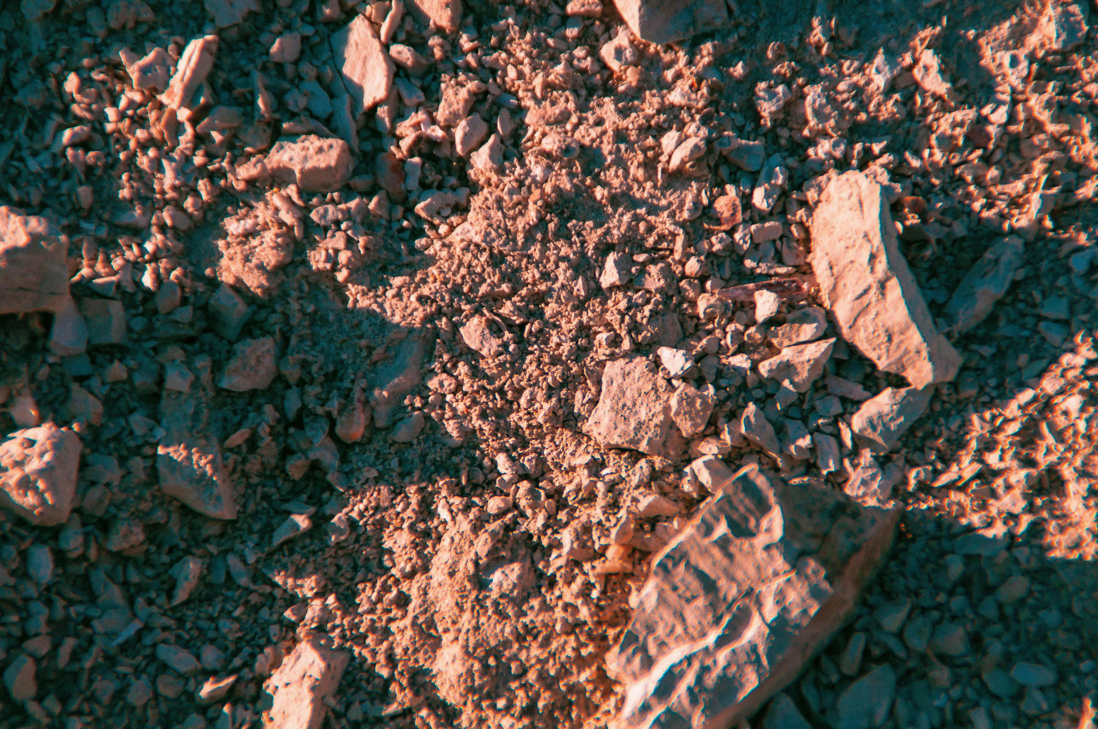 mars, insect, invertebrate, plant, food and drink, animal themes, day, sand, high angle view, backgrounds, food, red, ruined, outdoors, growth, full frame, HD Wallpaper