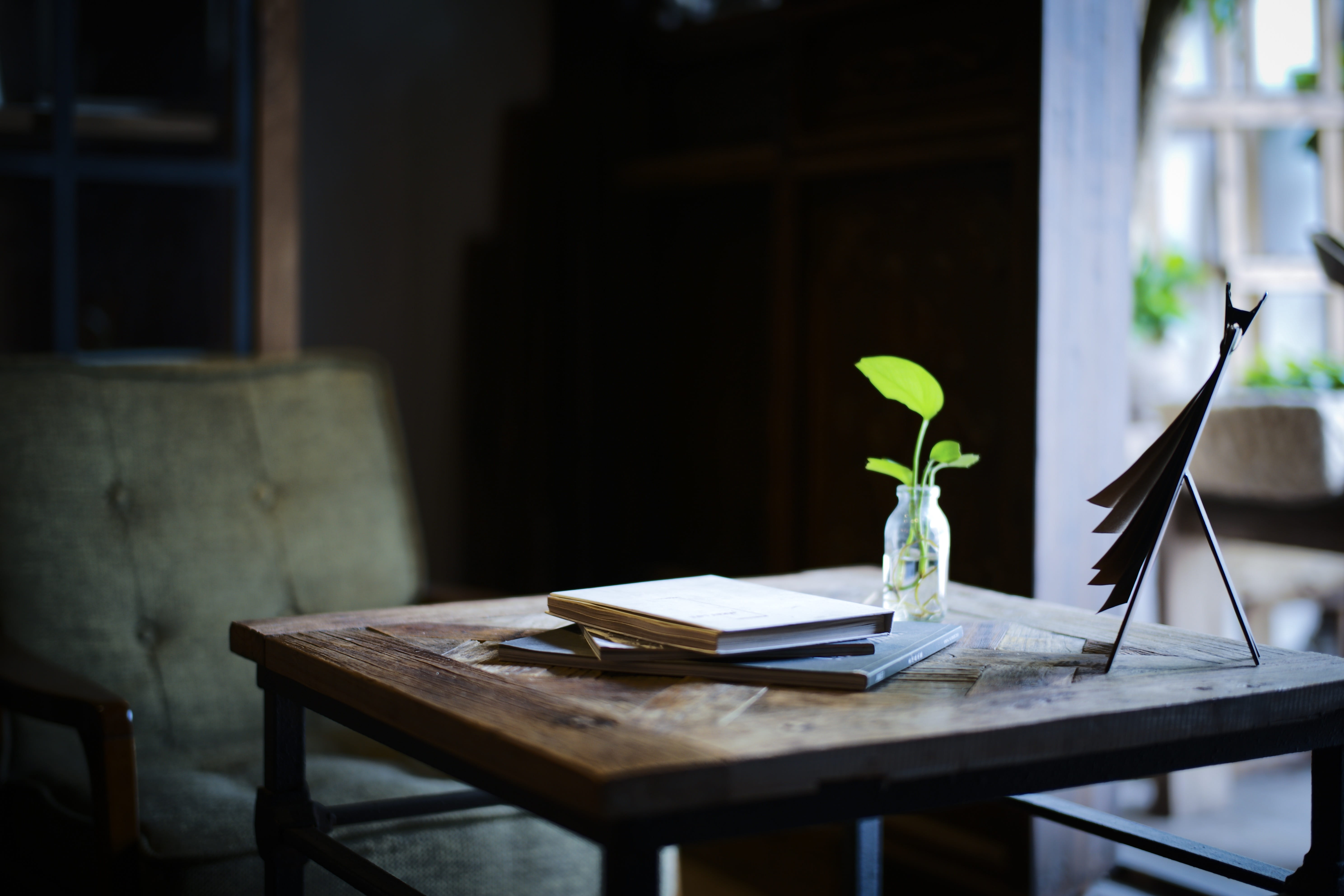 plant, electric lamp, seat, house, closeup, flowering plant, detail, no people, vase, desk, chair, nature, day, oblate, indoors, home, furniture, paper, HD Wallpaper