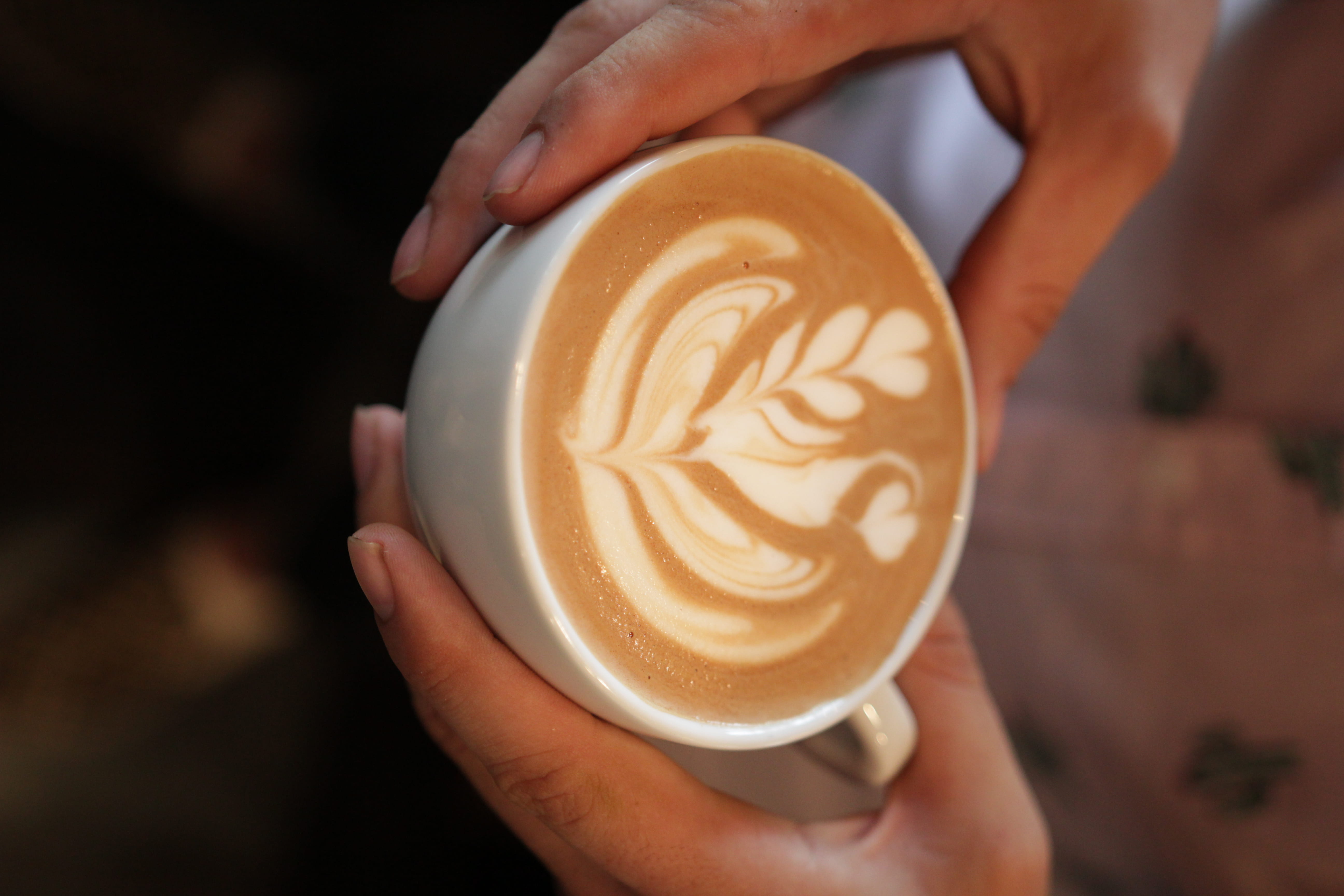 espresso, human, jewelry, refreshment, frothy drink, spoke, holding, hot drink, one person, wheel, floral pattern, diamond, 5K, latte, pottery, barista, HD Wallpaper