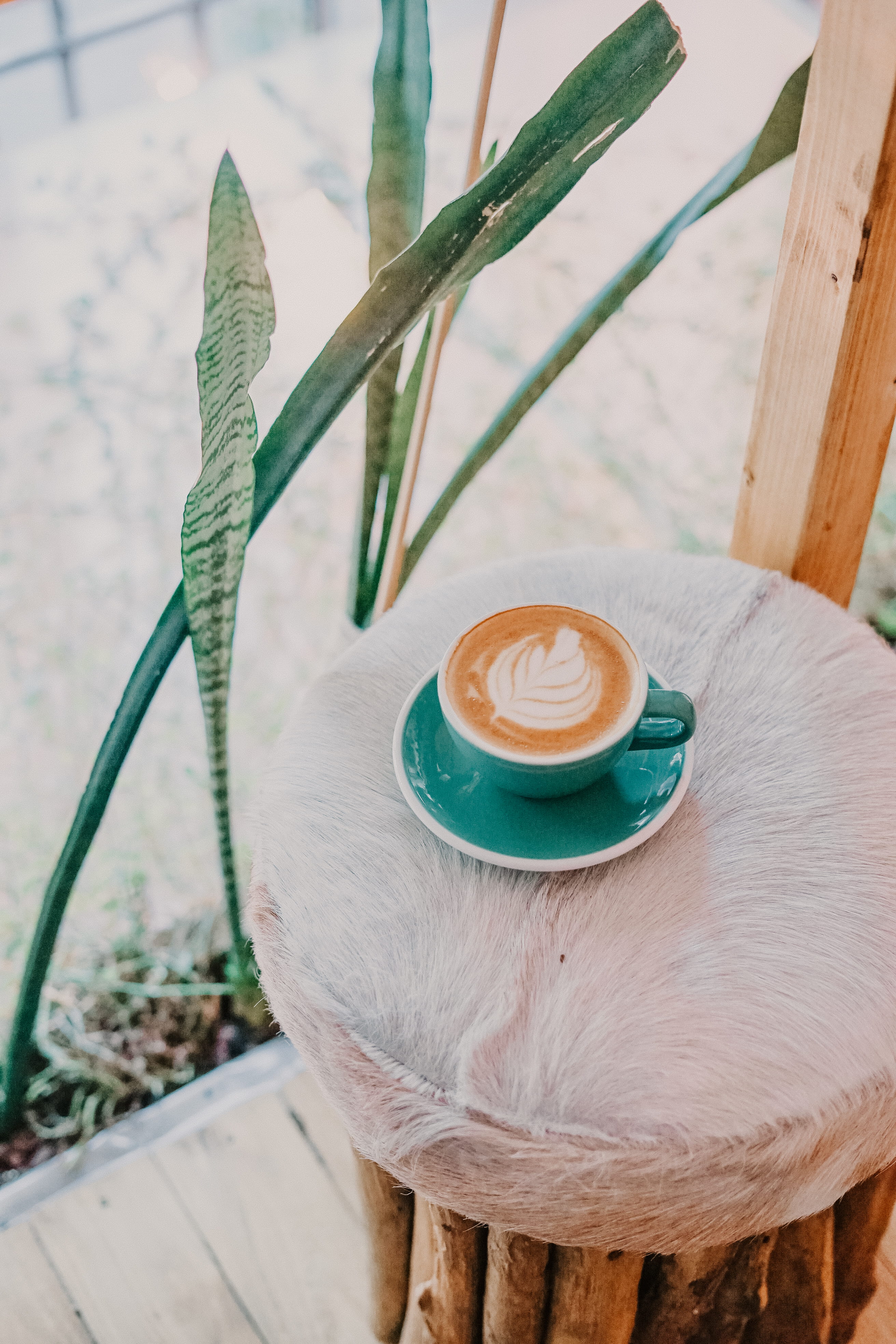 latte, ceramic, close-up, hot drink, high angle view, coffee cup, coffee - drink, crockery, refreshment, frothy drink, drink, focus on foreground, cup, Phone HD Wallpaper
