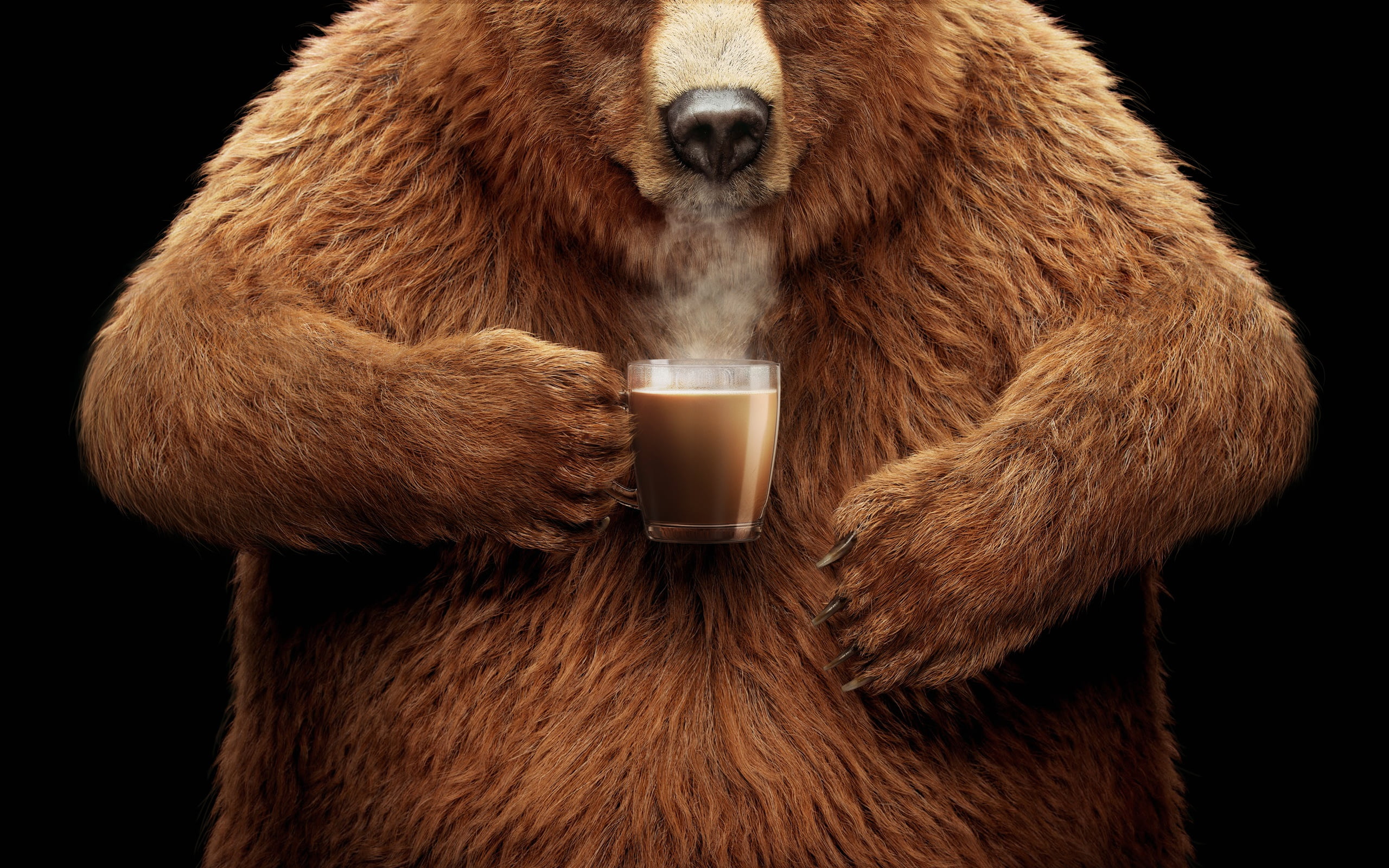 Coffee-Mate: Honey Lovers Rejoice, Coffee-Mate, Nestle, fans of honey, dry cream, Funny Advertising, 2K, HD Wallpaper
