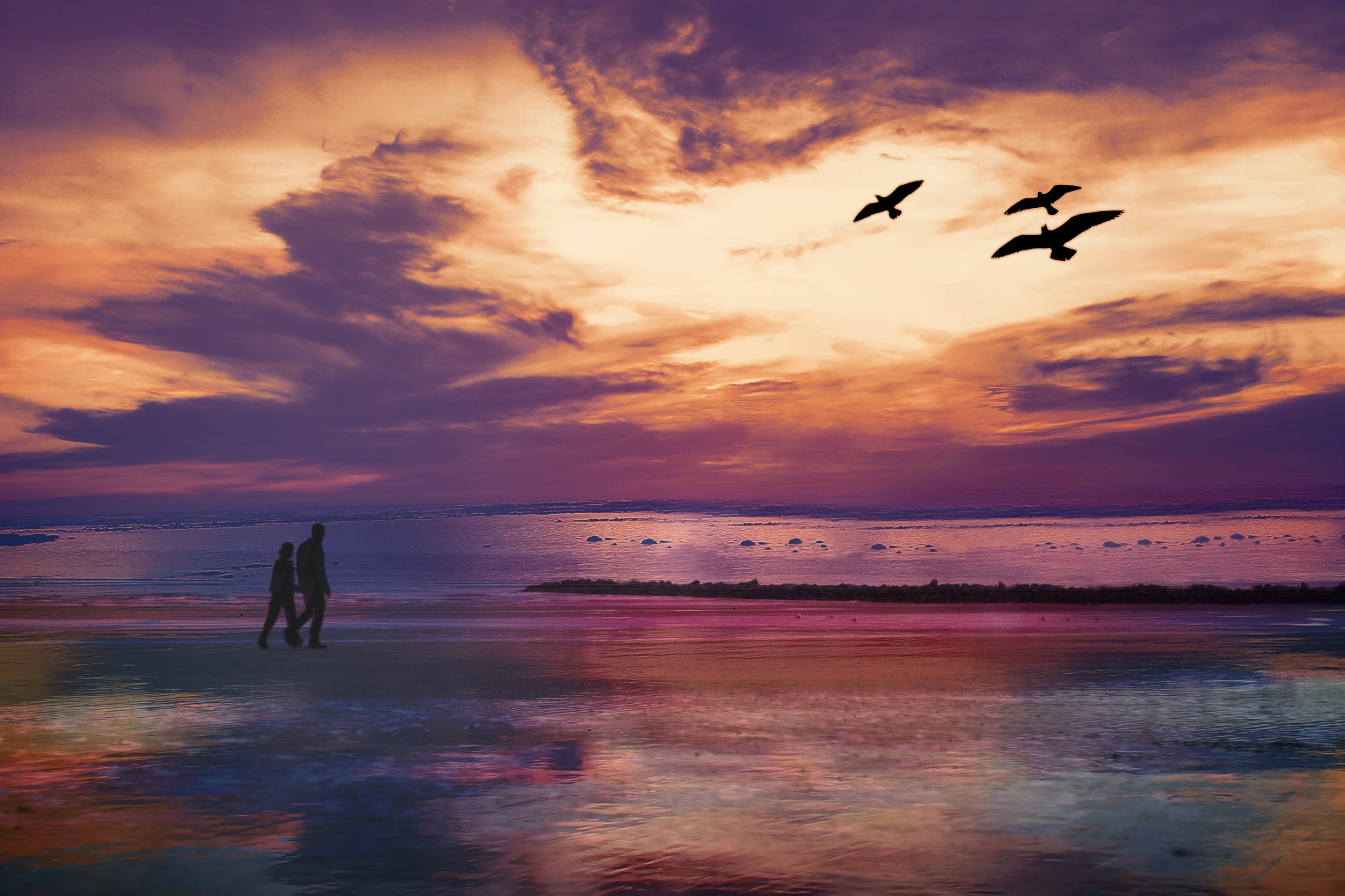 romantic, walk, tranquil scene, land, sunset, cloud - sky, nature, three, reflection, purple, two people, setting sun, animal themes, heaven, birds, flying, HD Wallpaper