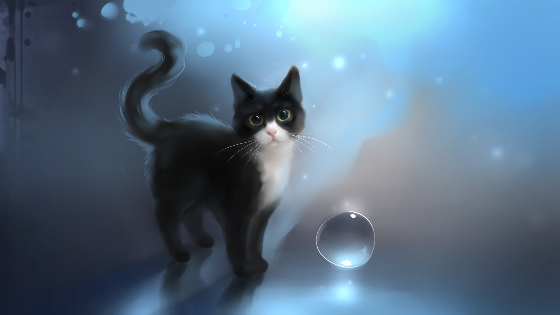 sitting, feline, mammal, staring, one animal, shiny, portrait, whisker, apofiss, cute, kitten, space, beautiful, white, night, black, blue, vertebrate, HD Wallpaper