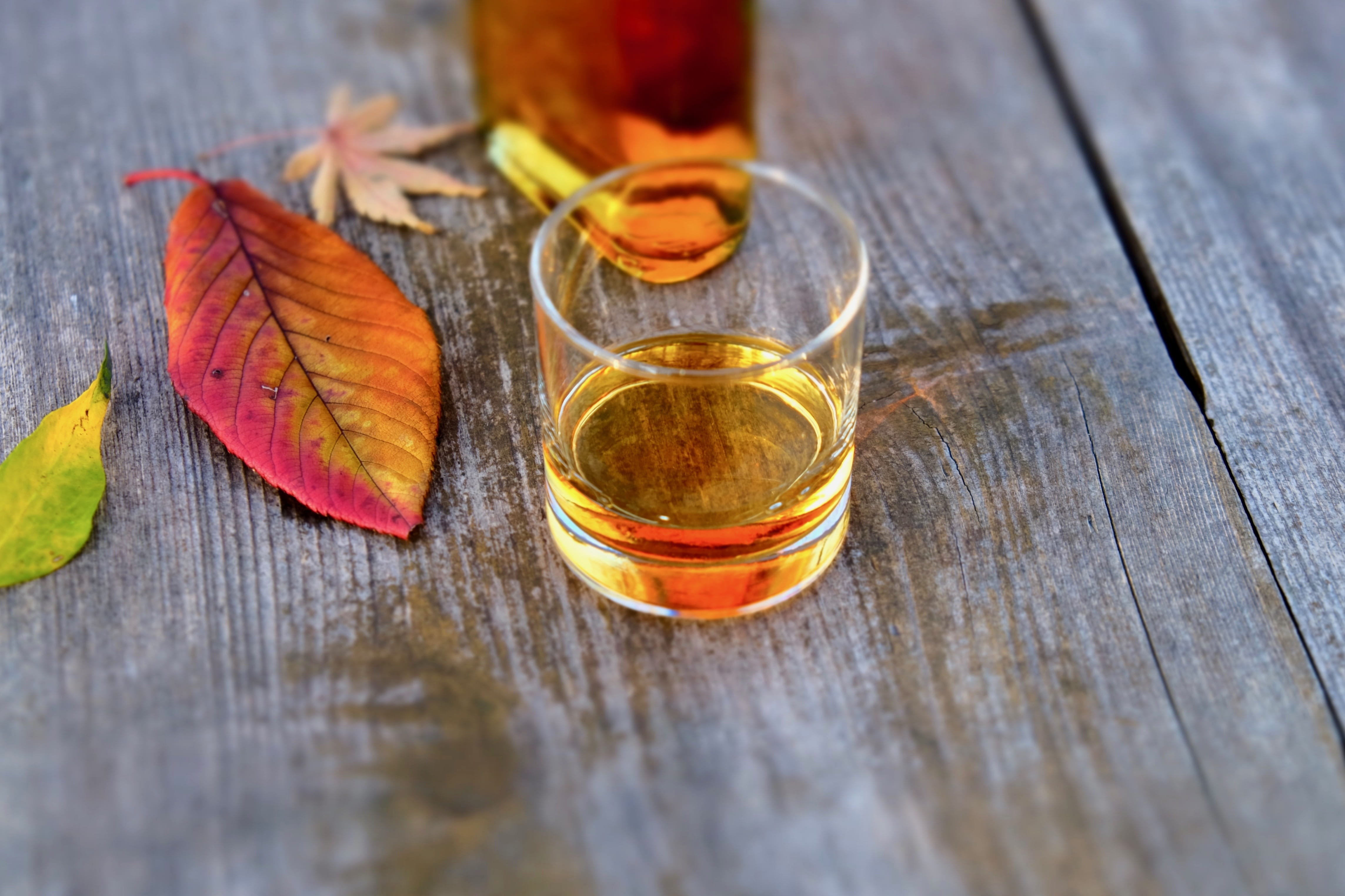 food and drink, liquor, leaves, park, household equipment, nature, refreshment, close-up, winter, dry leaf, leaf, wood - material, still life, drinking glass, HD Wallpaper