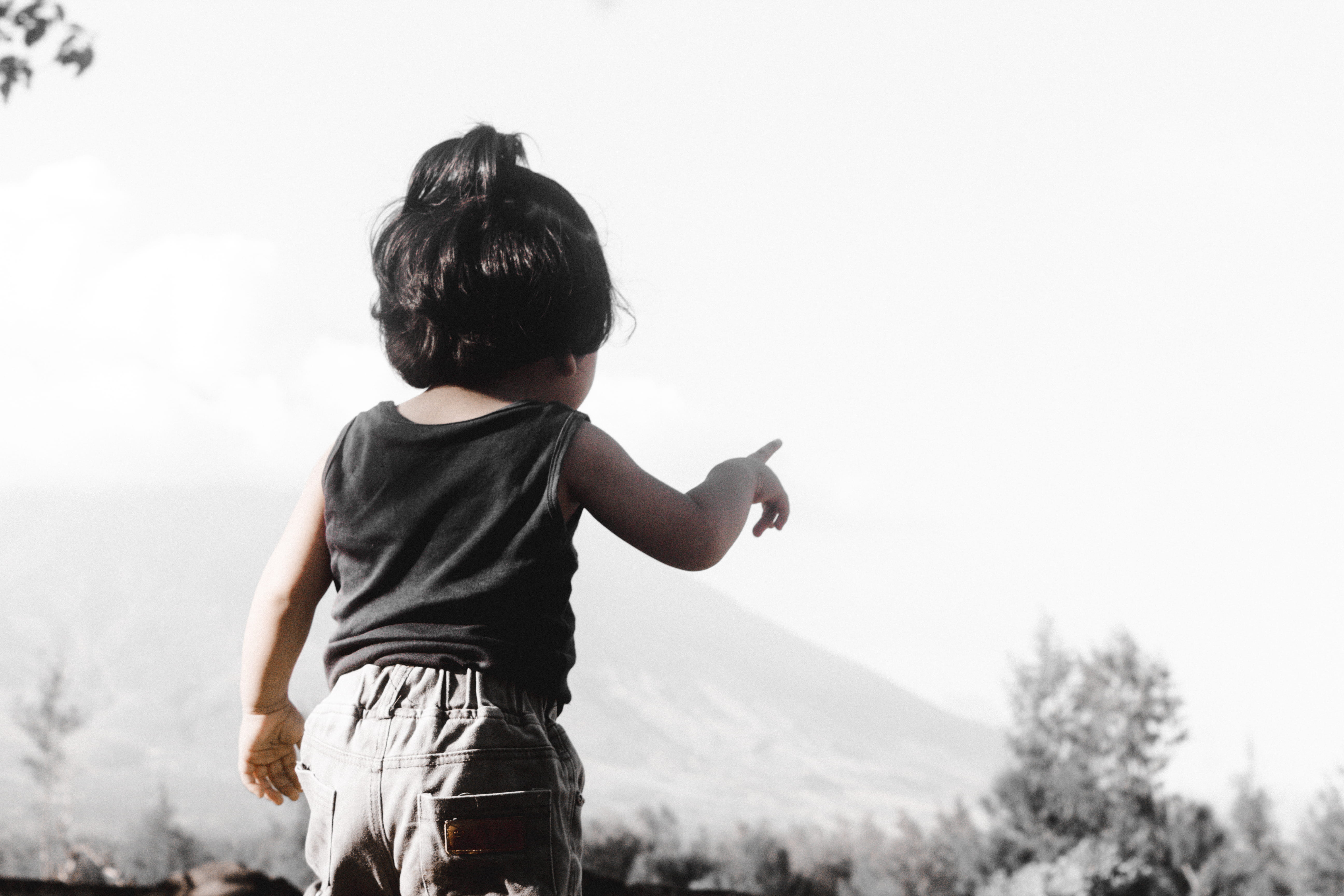 standing, pointing, white, tree, rear view, focus on foreground, human, light, casual clothing, shorts, volcano, day, toddler, one person, boys, outdoors, HD Wallpaper