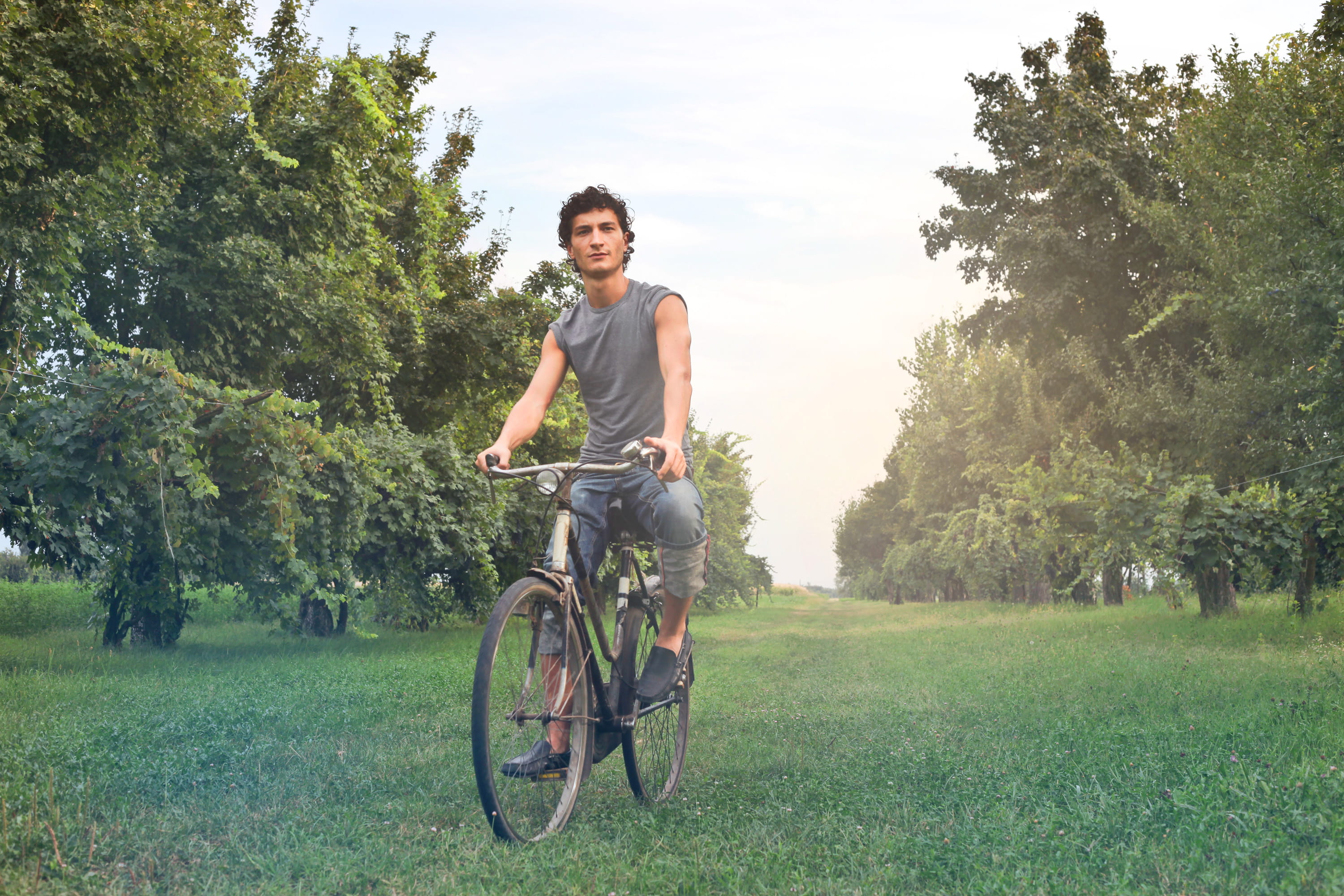 boy, gray, real people, 2K, park, land, country, sleeveless vest, man, riding, young men, happiness, grey, vest, tree, plant, people, meadow, sleeveless, HD Wallpaper