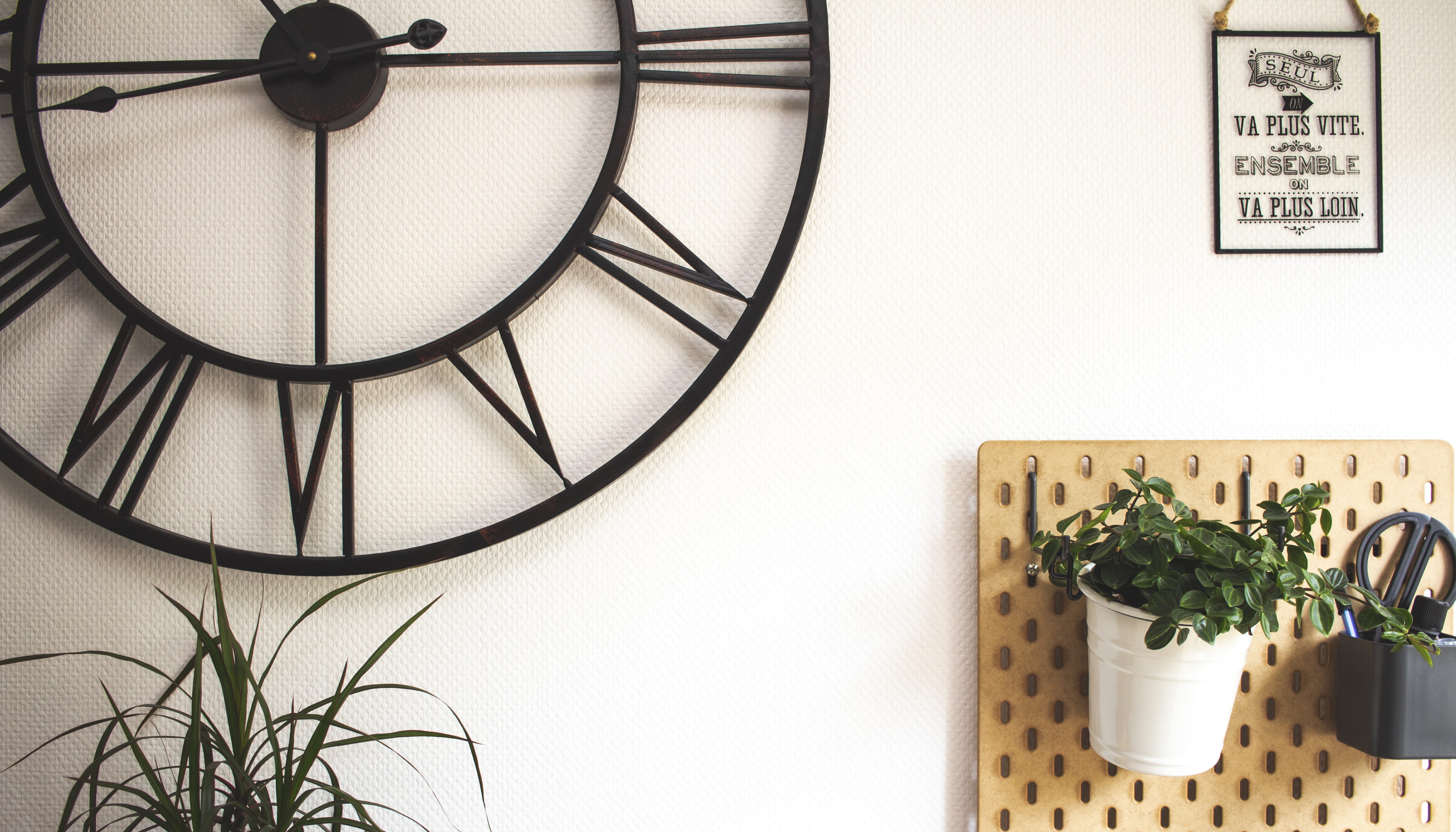 vase, instrument of time, lamp, green color, life, indoors, deco, analog clock, plant, jar, mood, close-up, kitchen, home interior, plant part, cook, leaf, HD Wallpaper
