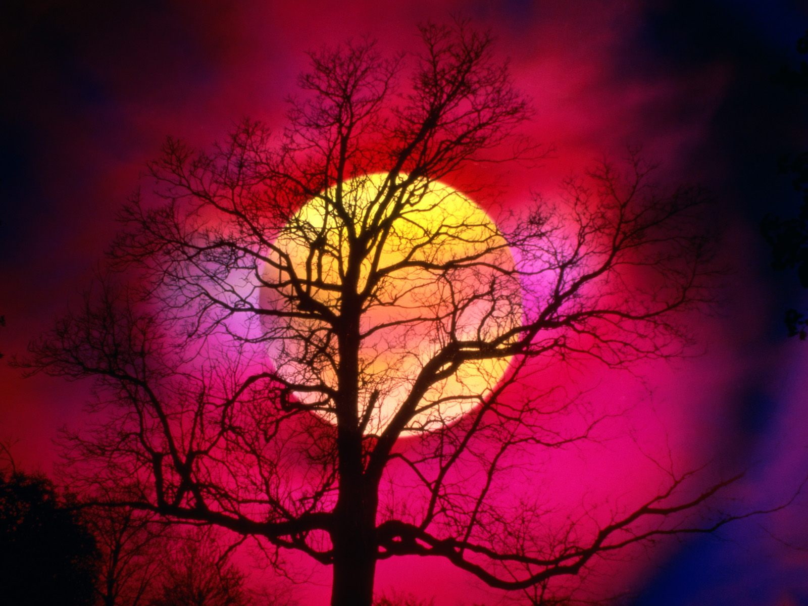 colors, alive, landscape, hd, nature, 720P, HD Wallpaper