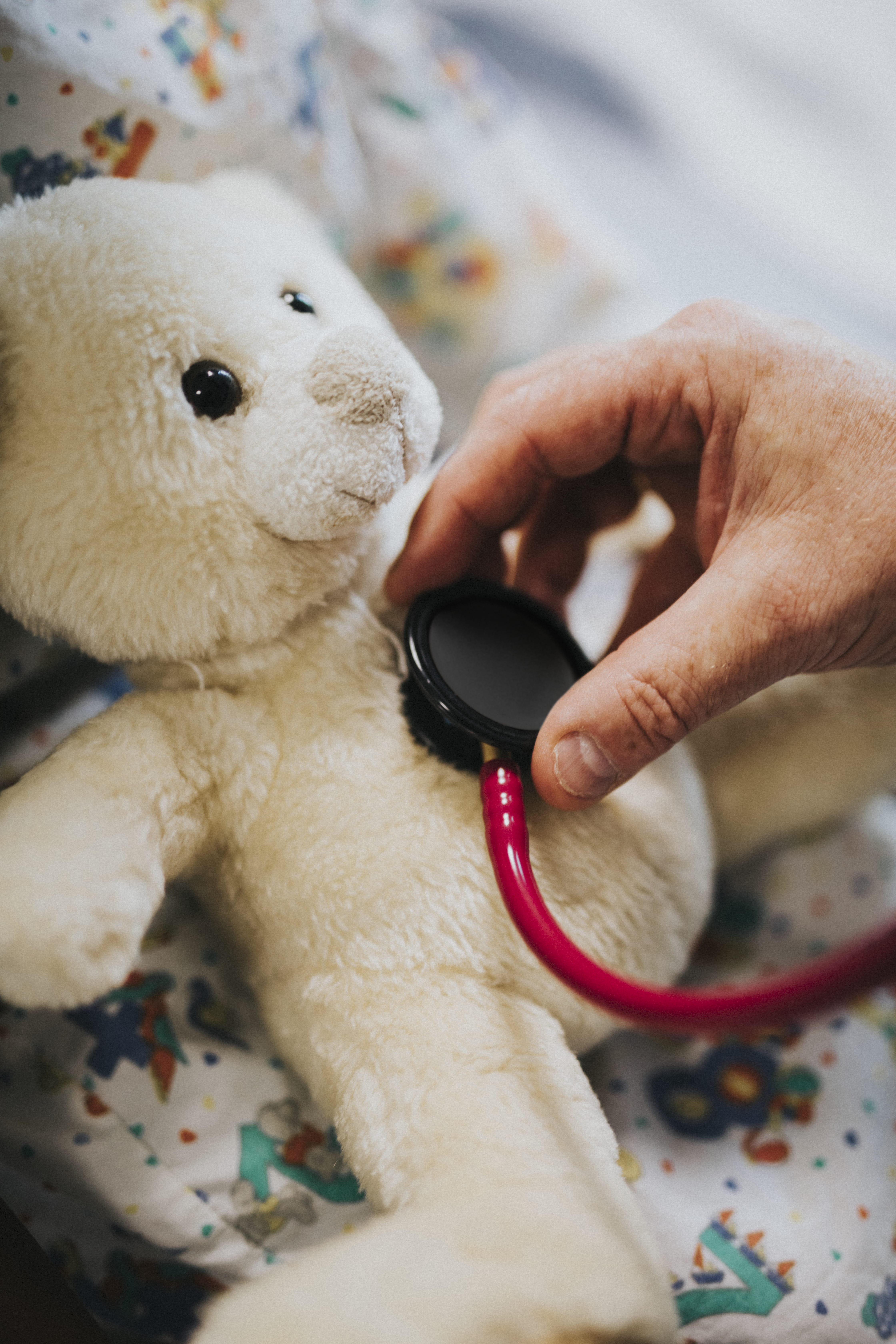 stethoscope, domestic, domestic animals, pet owner, hand, one animal, 5K, heart beat, person, one person, representation, real people, human hand, checking, Phone HD Wallpaper