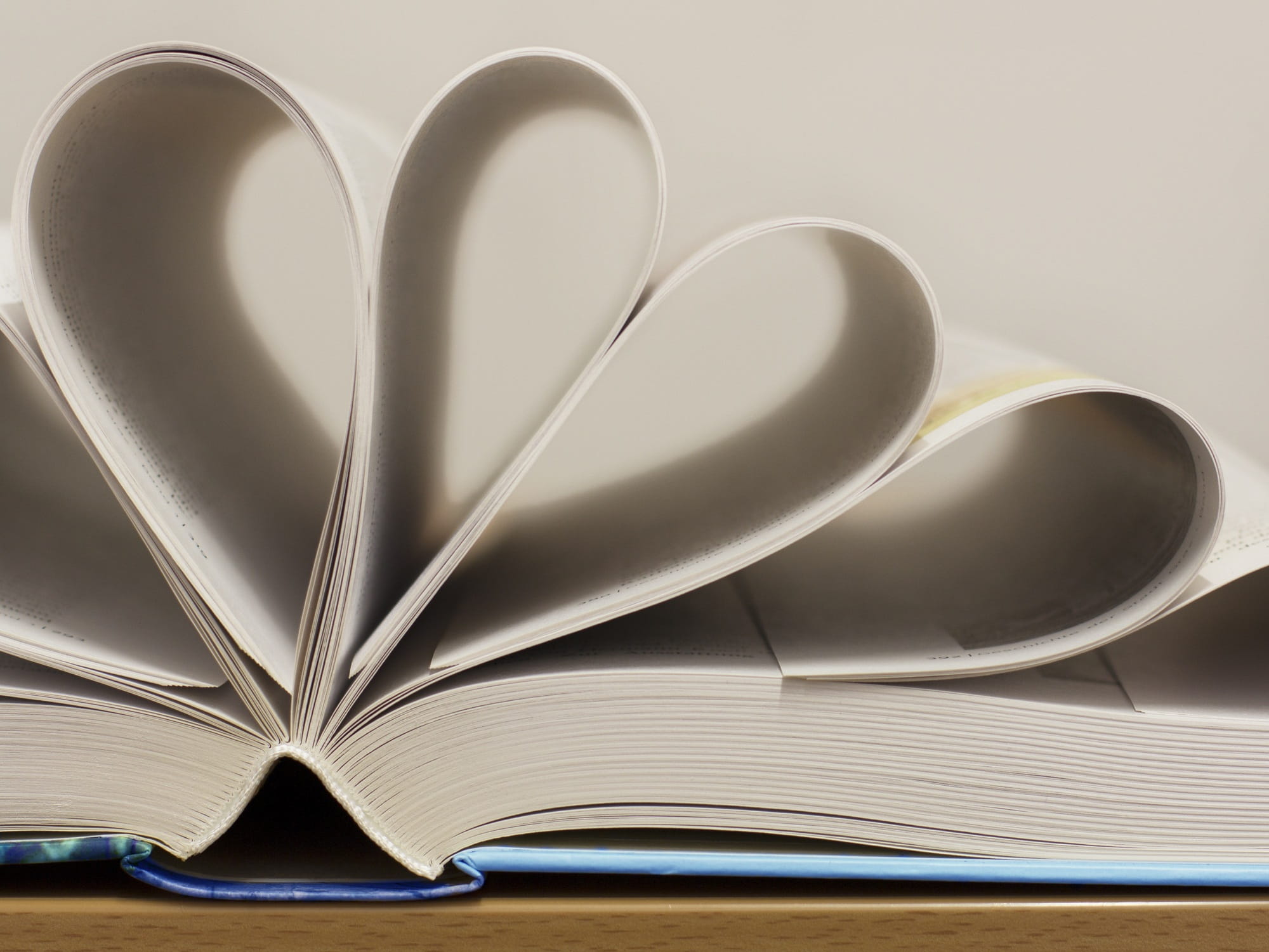 Paper, blank, heart shape, emotion, Pages, still life, publication, flower, message, library, valentines day - holiday, beat up, love, Flower, page, creativity, HD Wallpaper