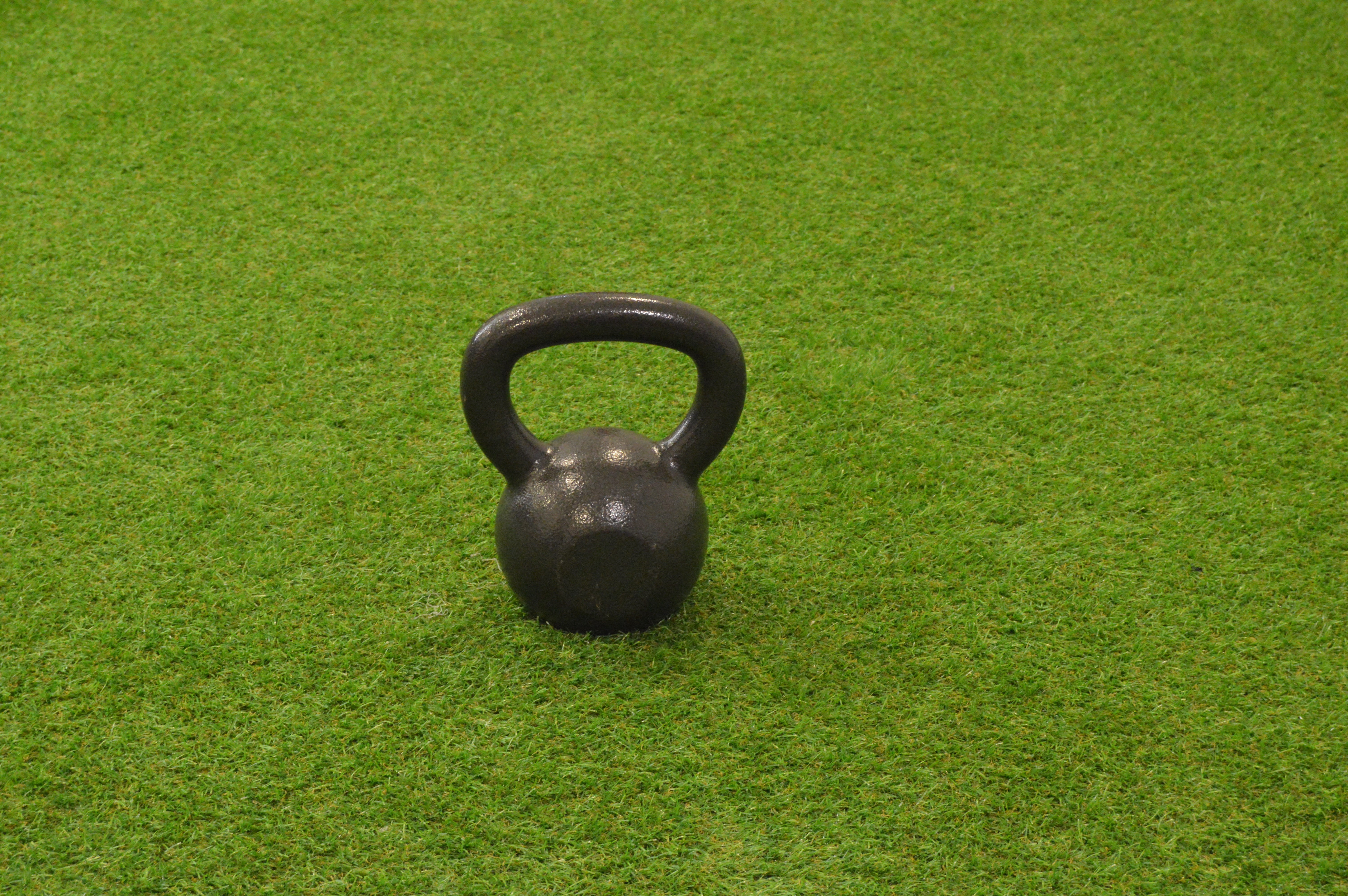 dumbbells, cardio, 5K, no people, weights russian, mammal, nature, abdomen, green color, sport, fitness, coach, sports, weighs, grass, field, one animal, HD Wallpaper