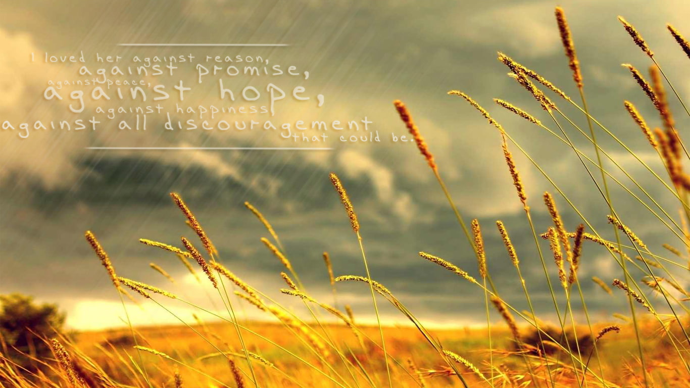 rain, hope, landscape, love/hate, 720P, hd, against, HD Wallpaper