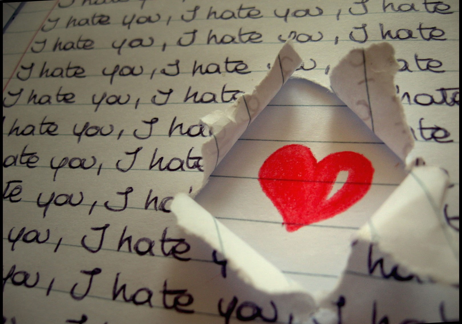 720P, i hate you because i love you, HD Wallpaper