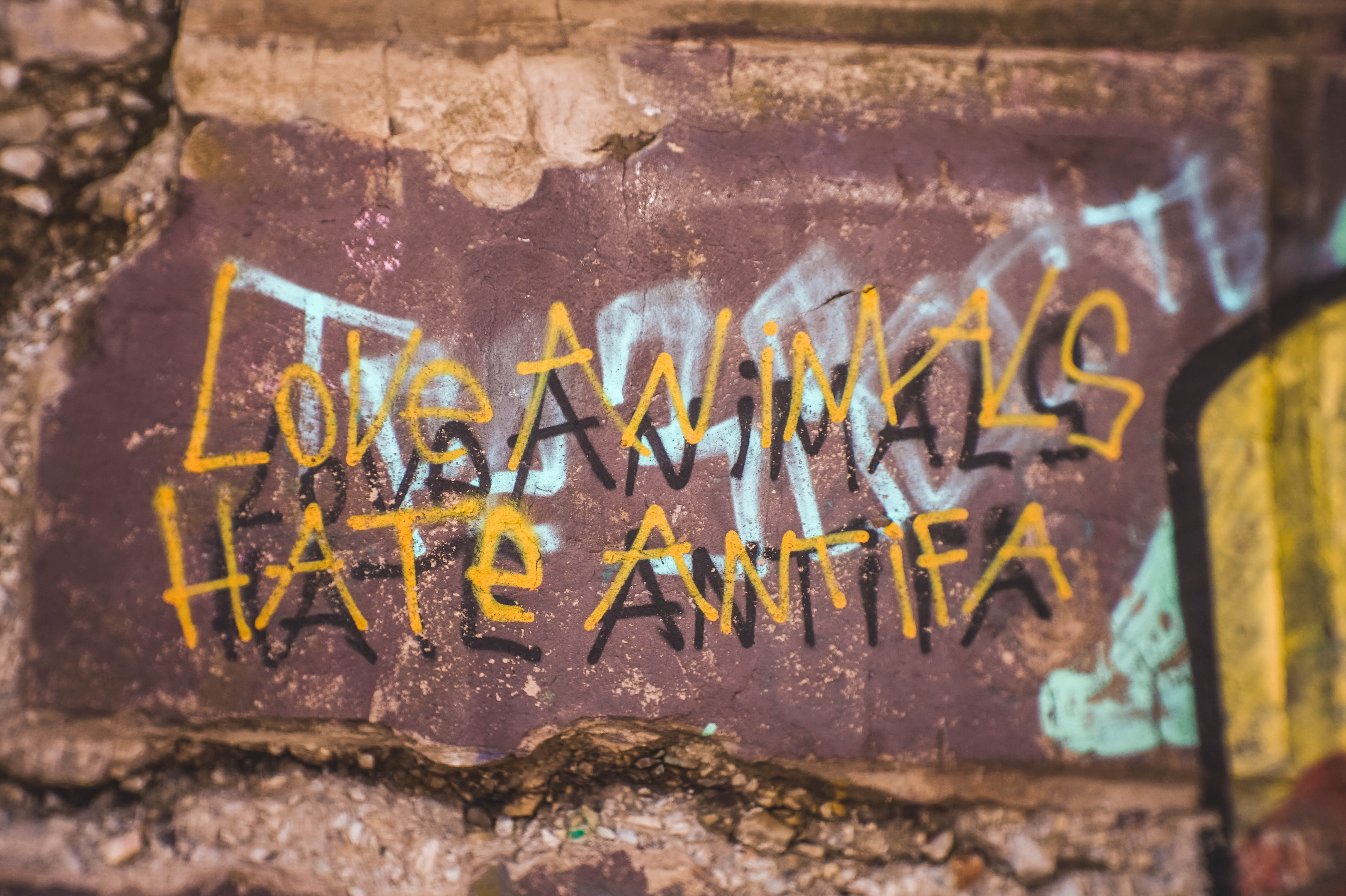 text, architecture, 4K, old, yellow, damaged, wall - building feature, aggression, metal, love, wall, selective focus, western script, sign, rough, day, HD Wallpaper