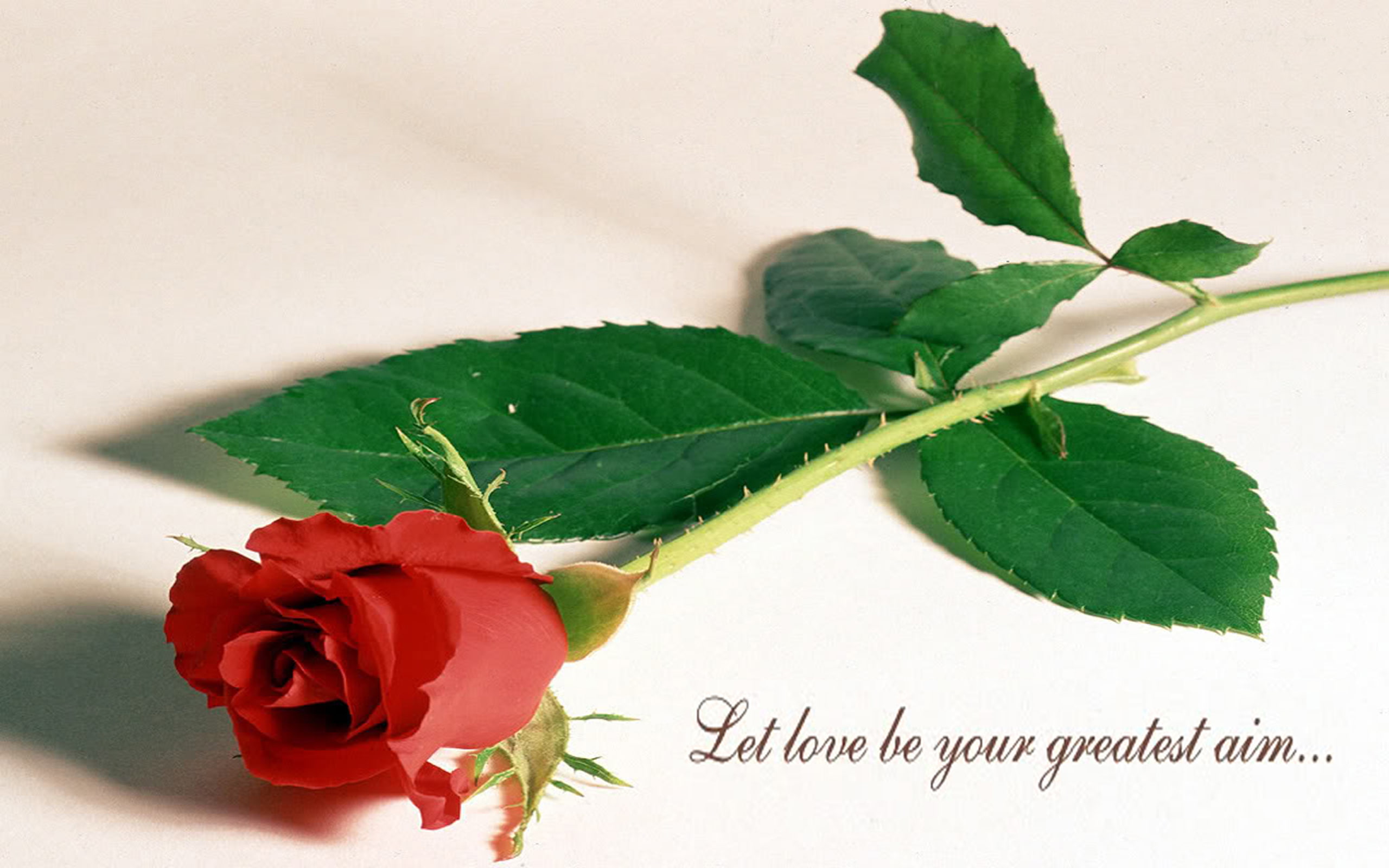love, 2K, hate, HD Wallpaper
