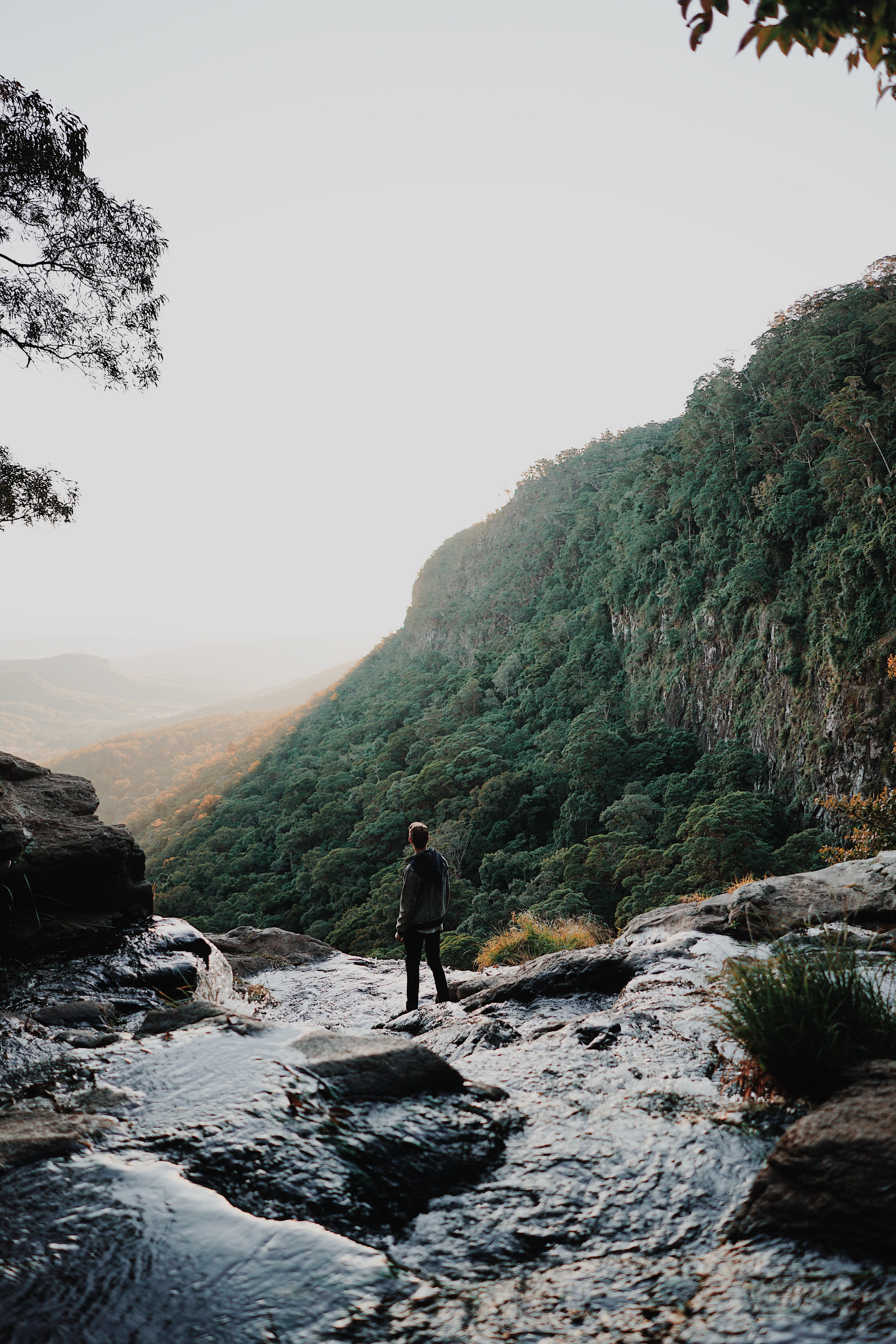 solitude, plant, alone, river, real people, green, beauty in nature, forest, nature, one person, lifestyles, full length, trees, cliff, hiking, overlooking, Phone HD Wallpaper