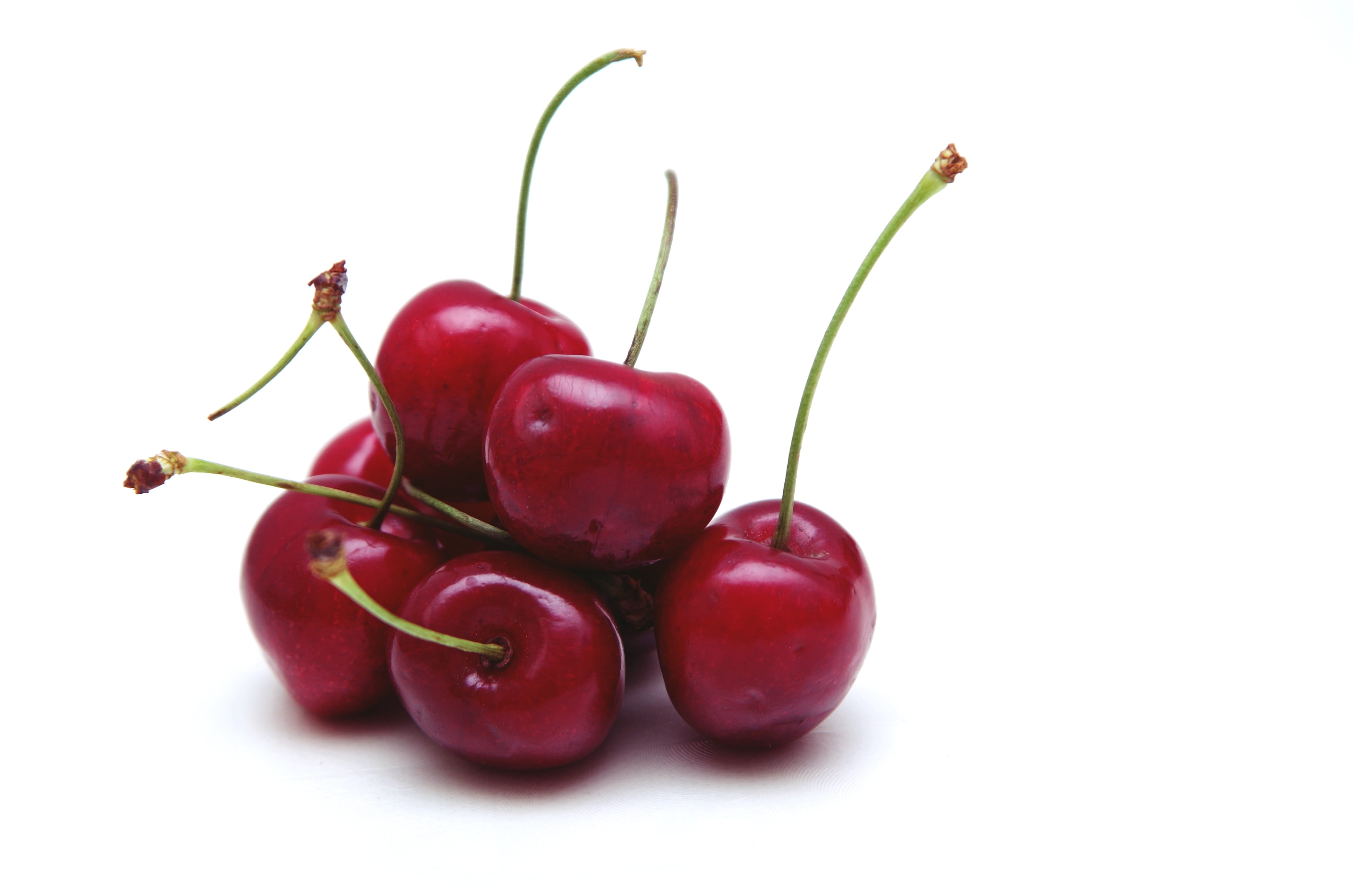 red black, ripe, plant, close-up, plant stem, cut out, white background, tree, sweet cherries, healthy, indoors, cherry harvest, cherry, close, fruit, delicious, HD Wallpaper