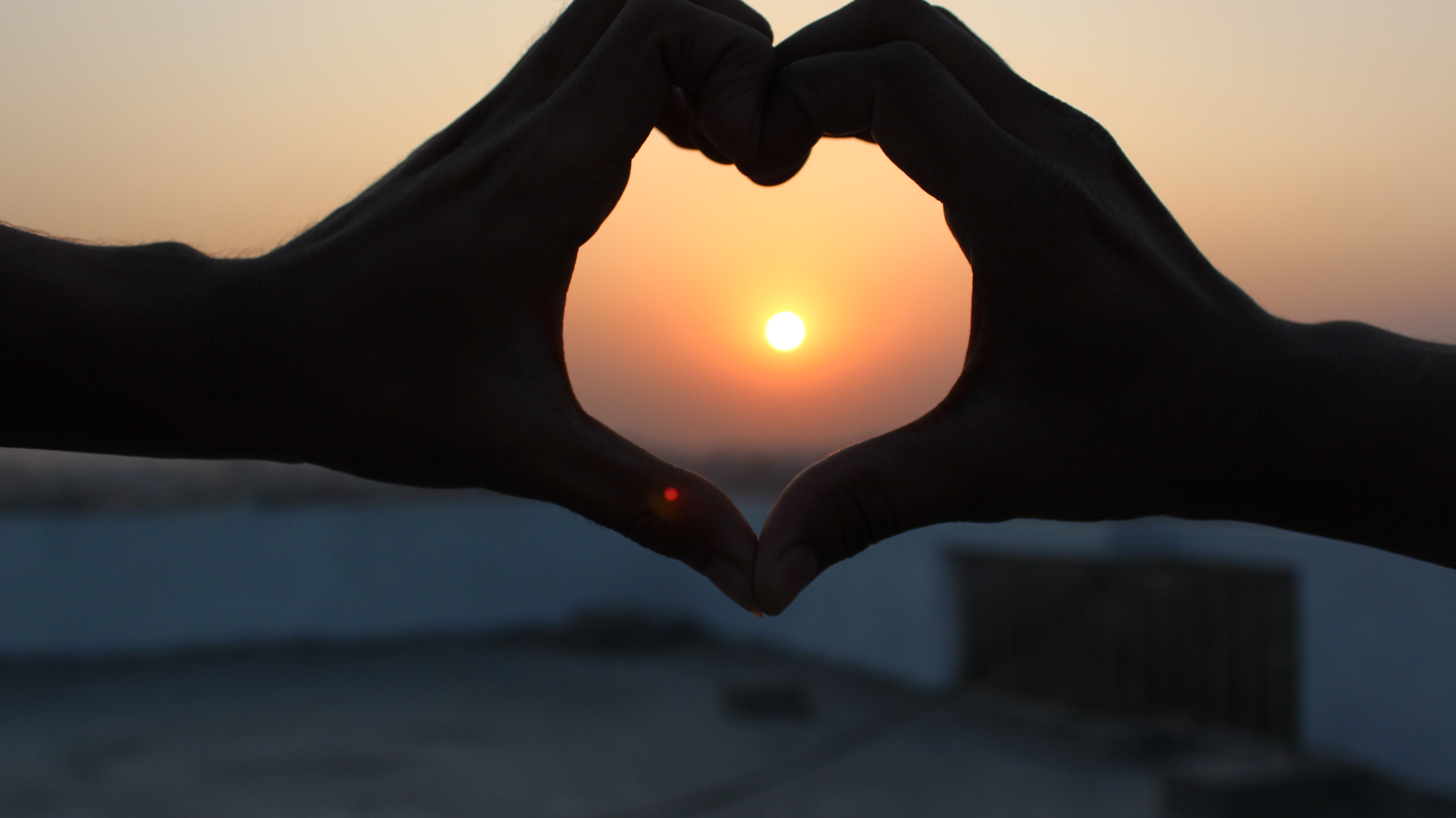 human body part, body part, positive emotion, close-up, silhouette, sunset, friendship, real people, one person, outdoors, focus on foreground, hand, rooftops, HD Wallpaper