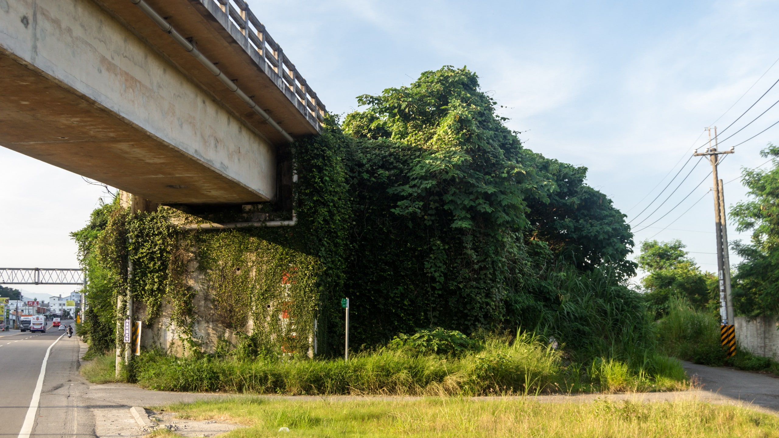 Taiwan, bridge, 2K, HD Wallpaper