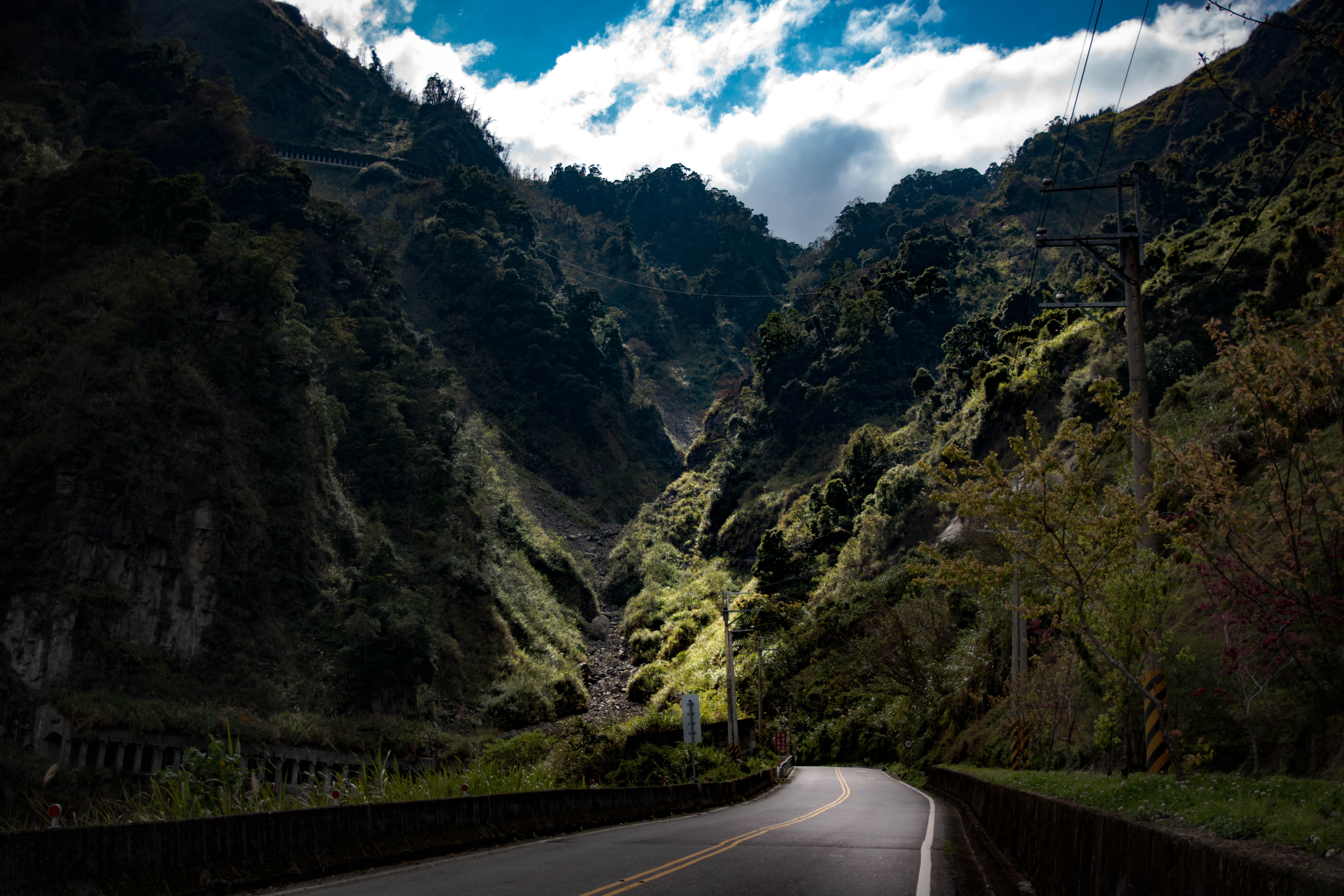 beauty in nature, plant, the way forward, scenics - nature, taiwan, day, mountain range, sky, alishan national scenic area, light, diminishing perspective, HD Wallpaper