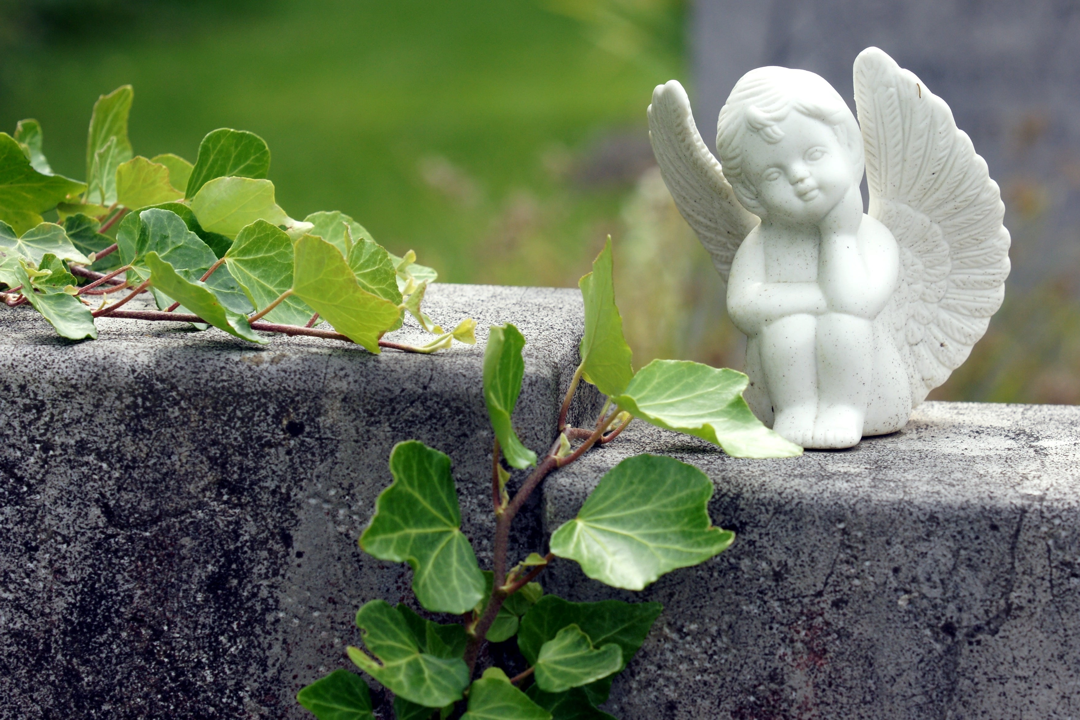 growth, buddha, sitting, creativity, angel, decoration, plant, harmony, garden, human representation, symbol, green Color, nature, representation, white, HD Wallpaper