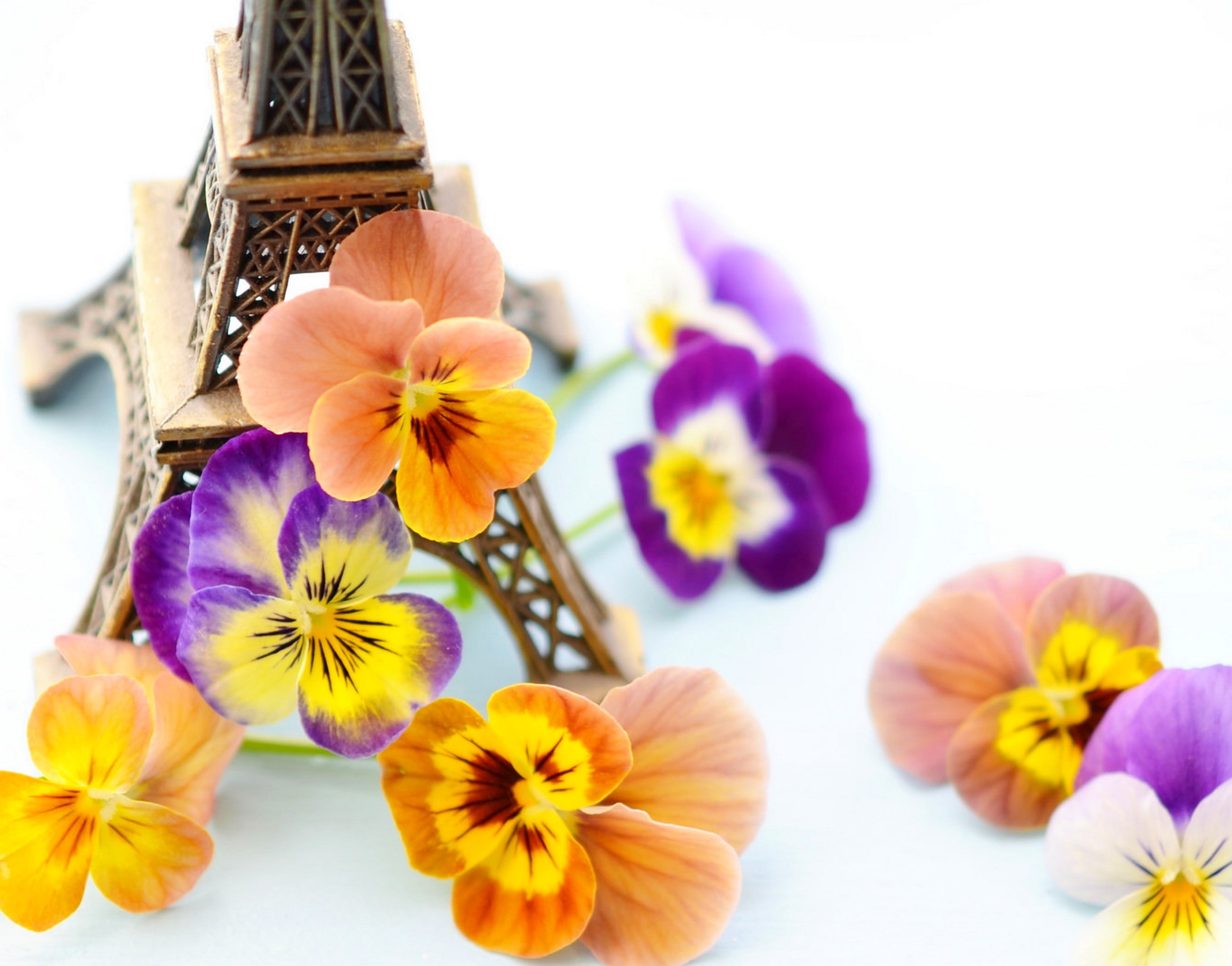 pollen, violet, indoors, no people, beauty in nature, colored, Paris, violets, tower, France, statuette, Eiffel Tower, flower, decor, purple, 2K, flowers, HD Wallpaper