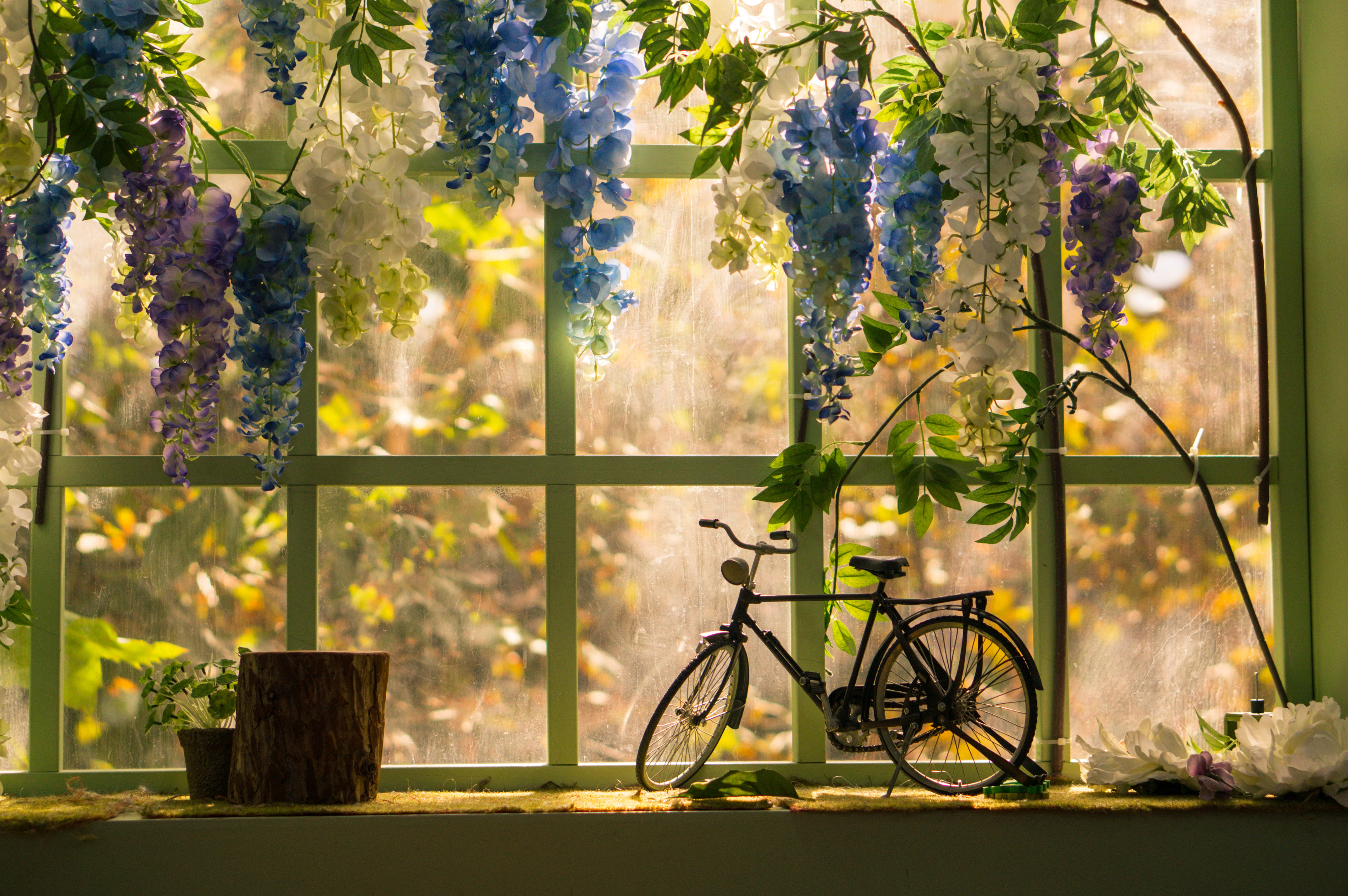architecture, growth, commuter, built structure, nature, transparent, window, tree, transportation, houseplant, flowers, plant, statuette, black, flower pot, HD Wallpaper